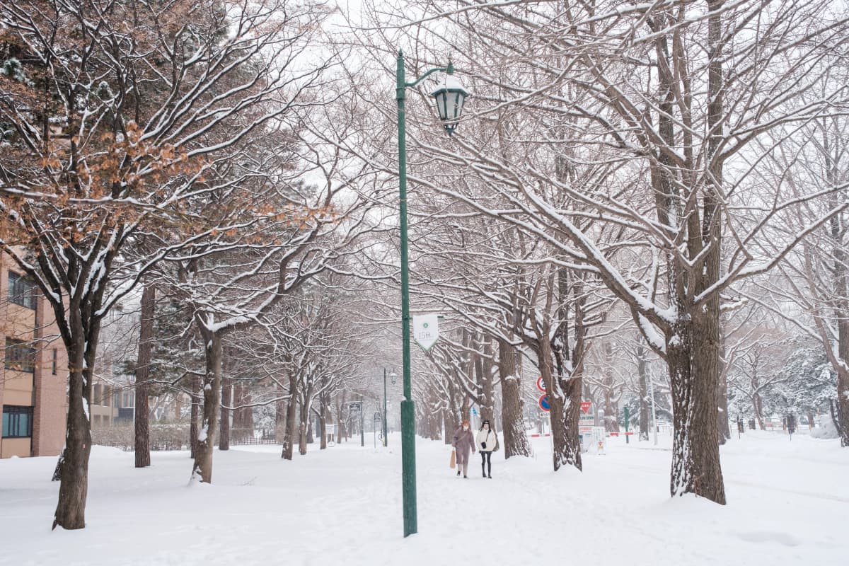 hokkaido photo