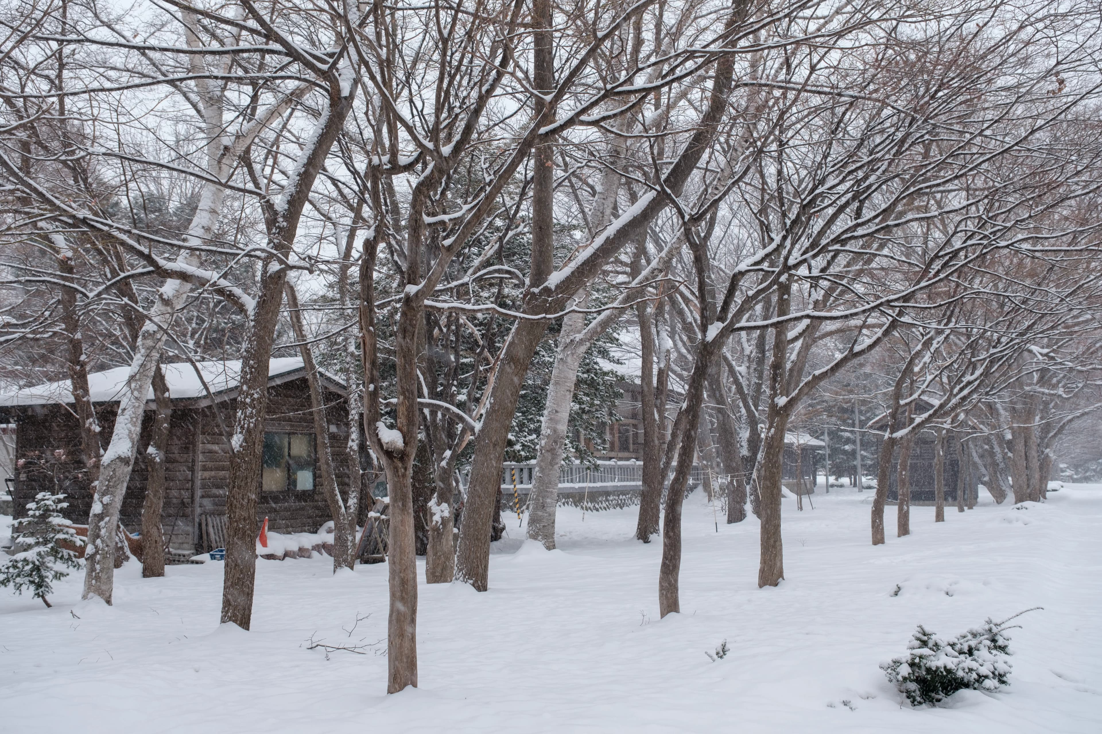 hokkaido photo