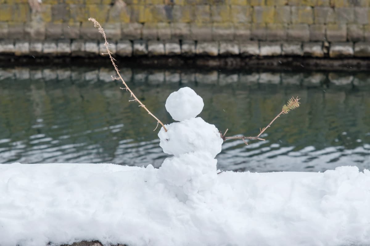 hokkaido photo