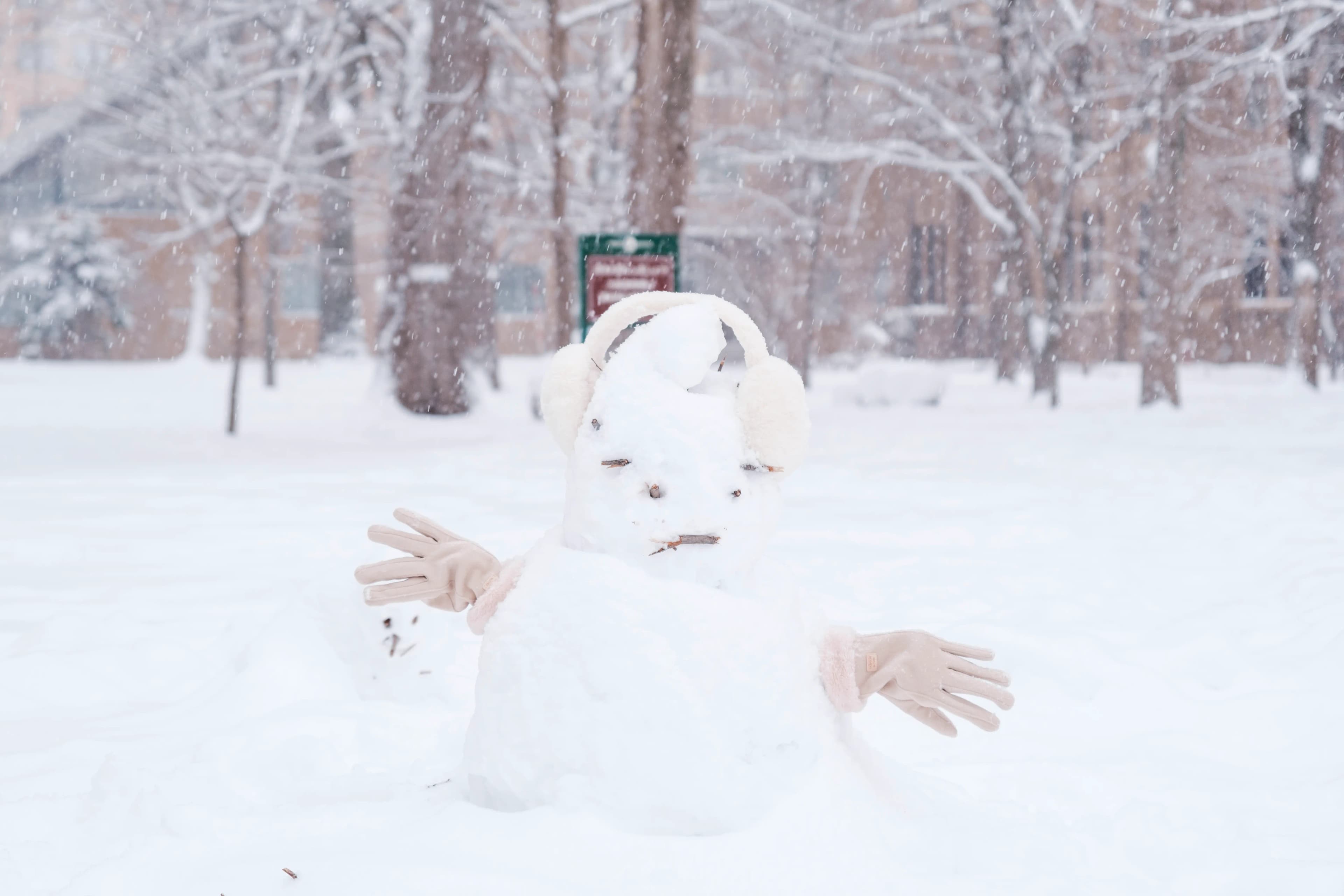 hokkaido photo