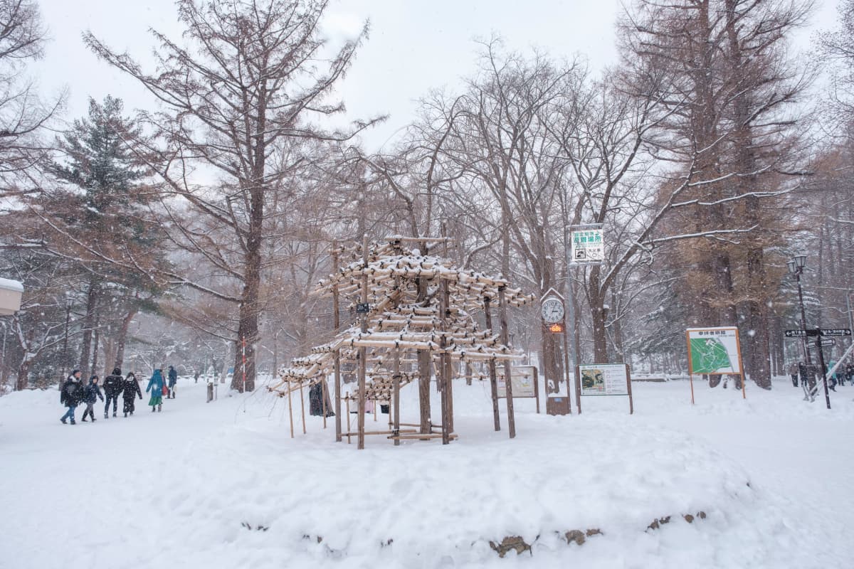hokkaido photo