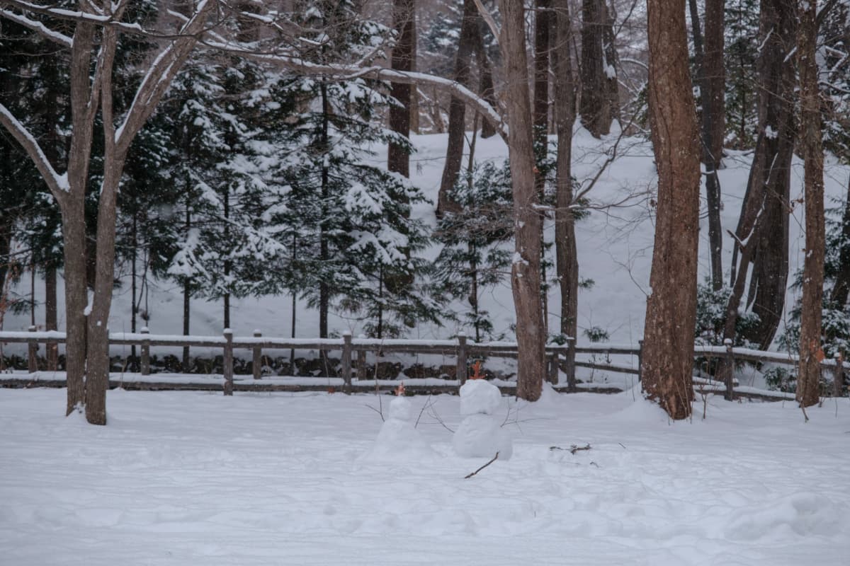 hokkaido photo