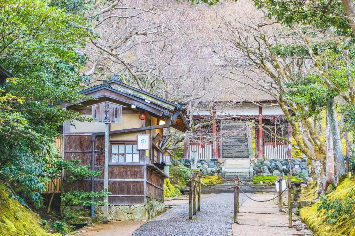 kyoto photo
