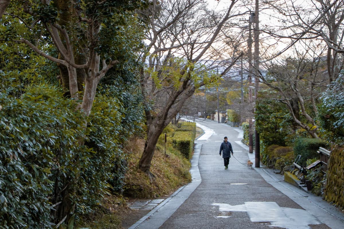 kyoto photo
