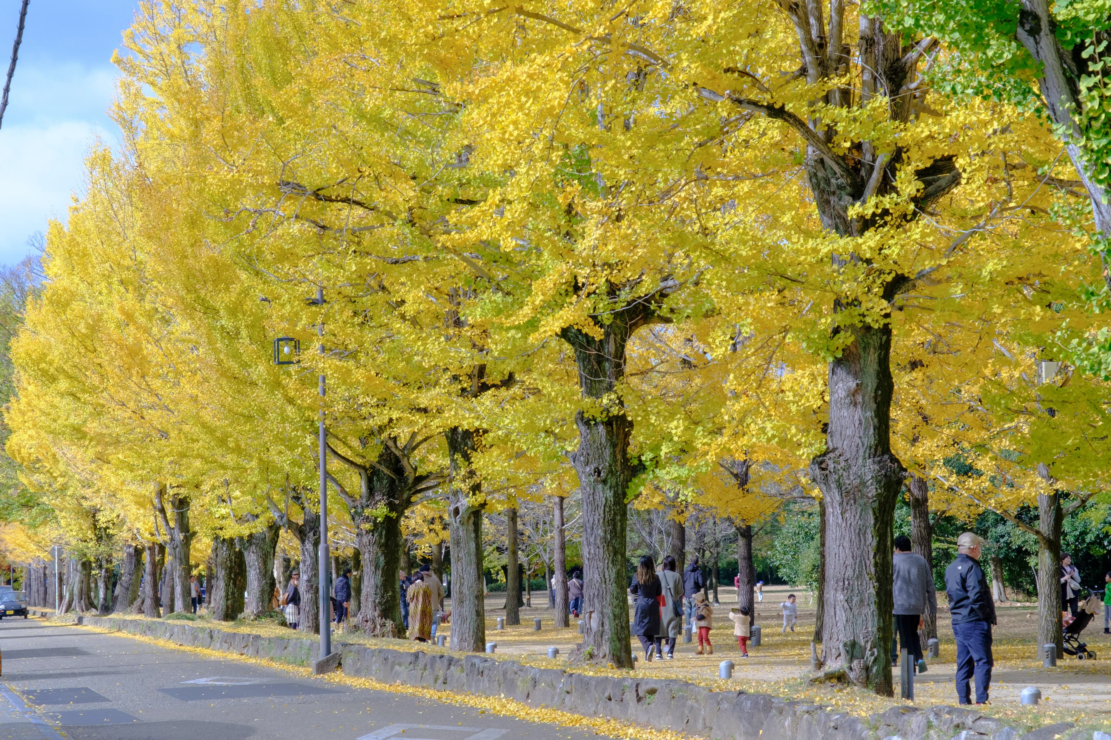nagoya photo
