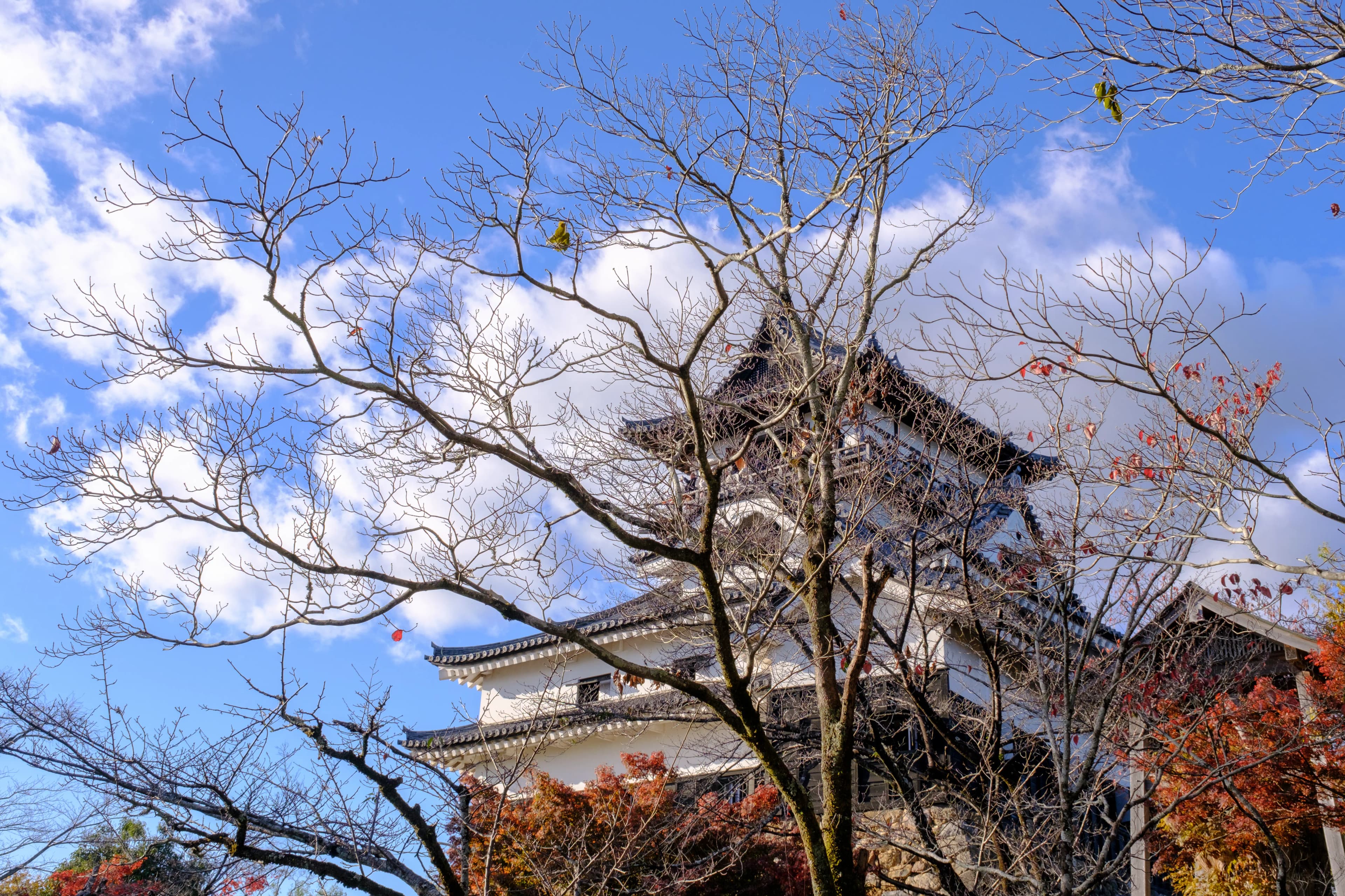 nagoya photo