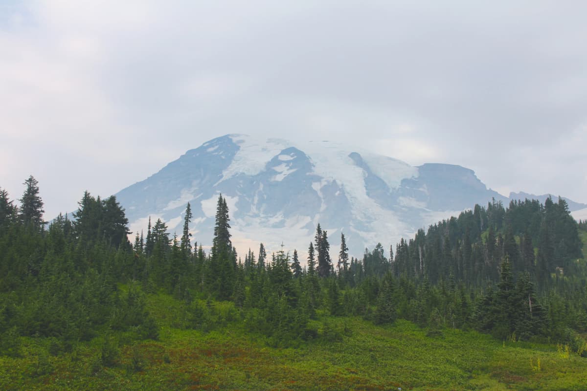 seattle photo