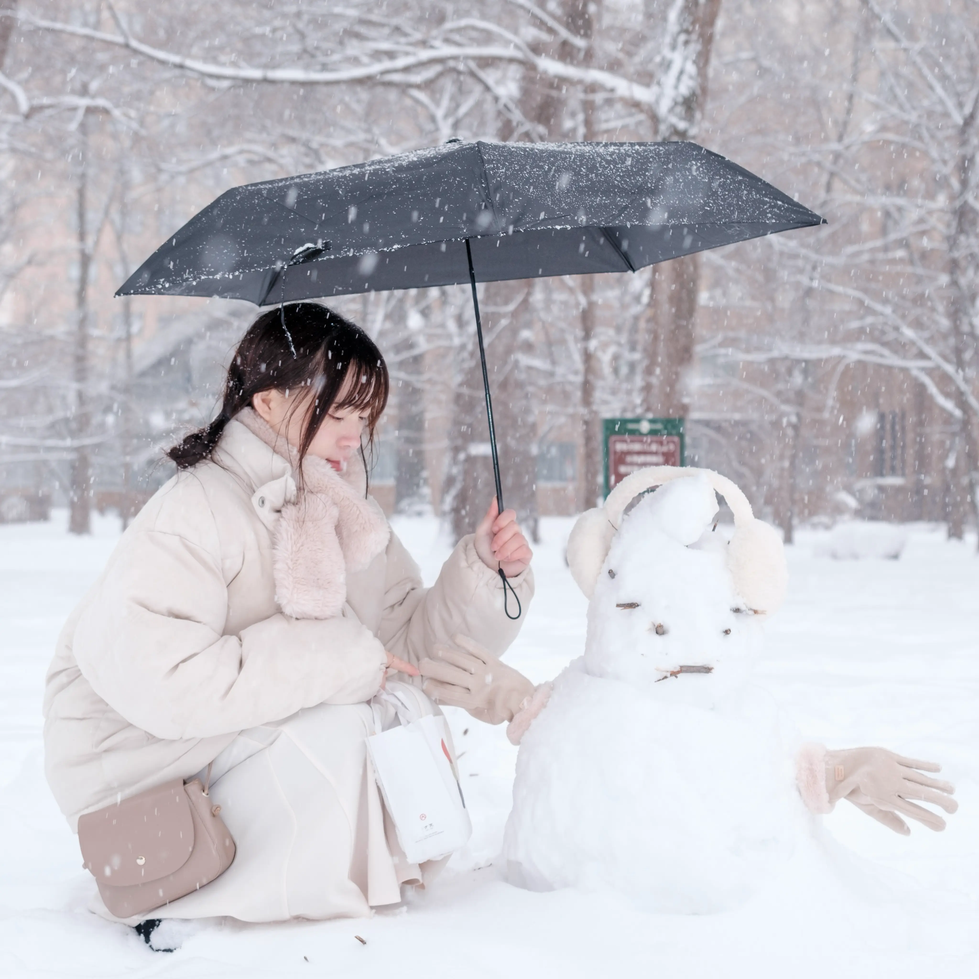 album cover of Hokkaido