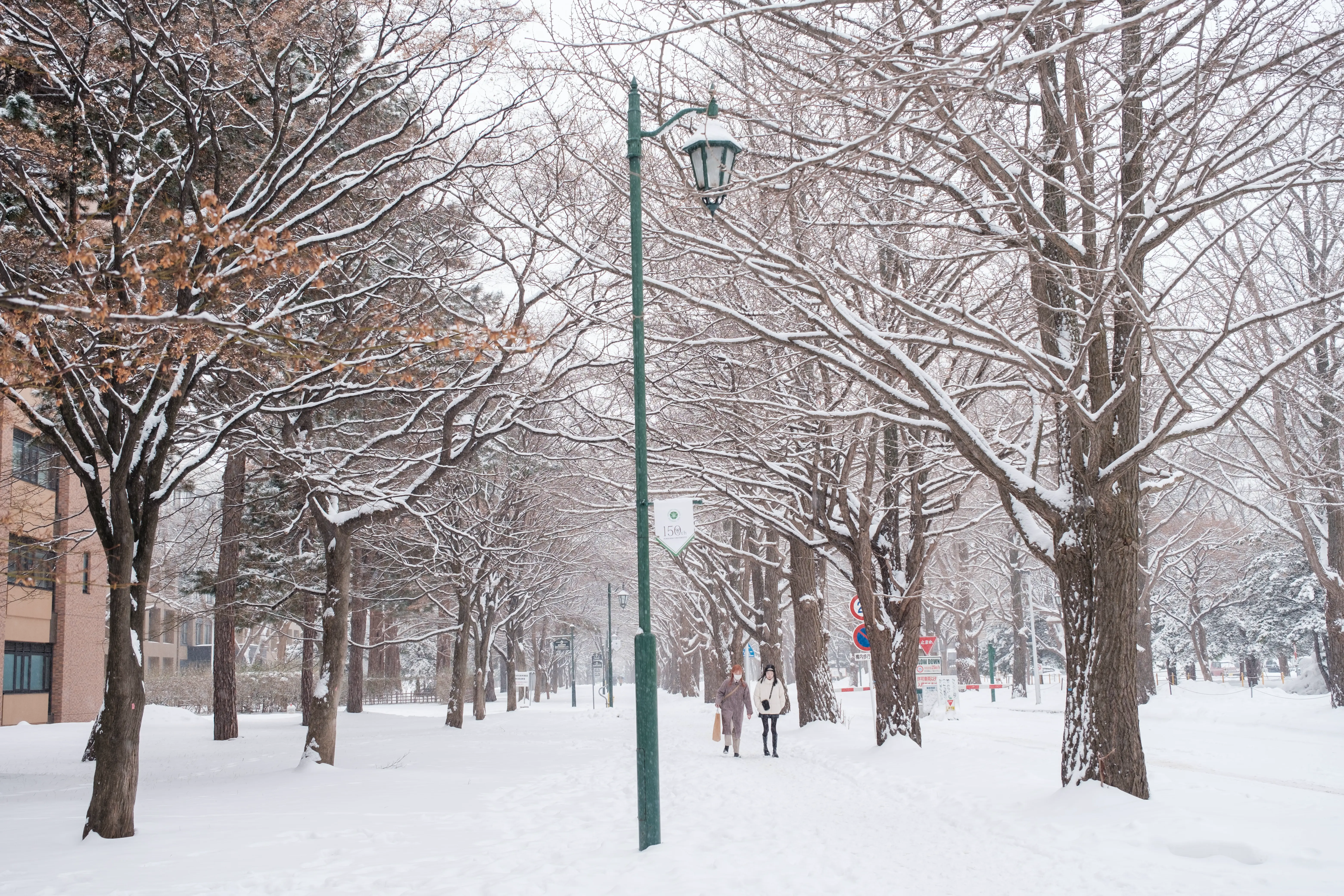 hokkaido photo