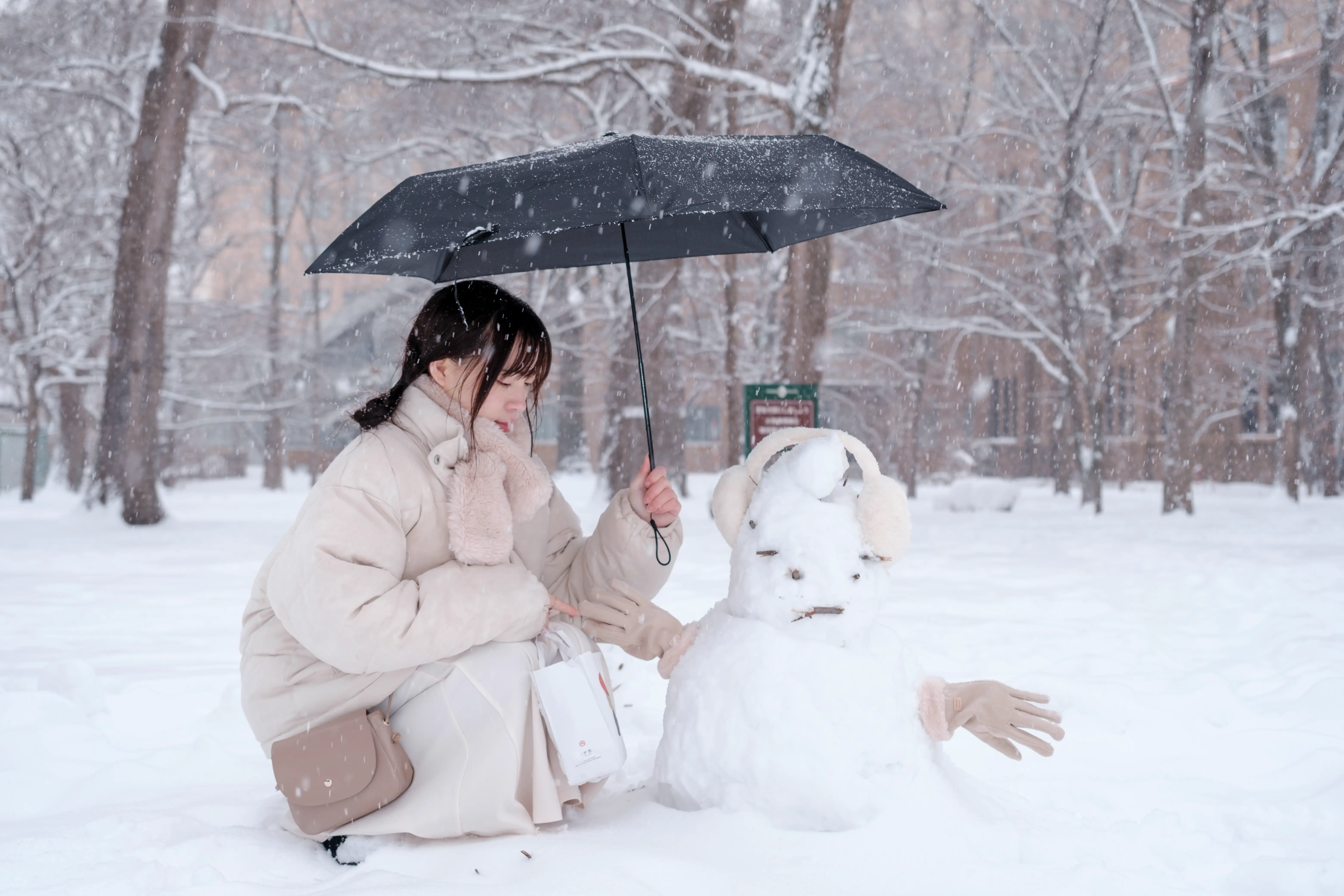 hokkaido photo