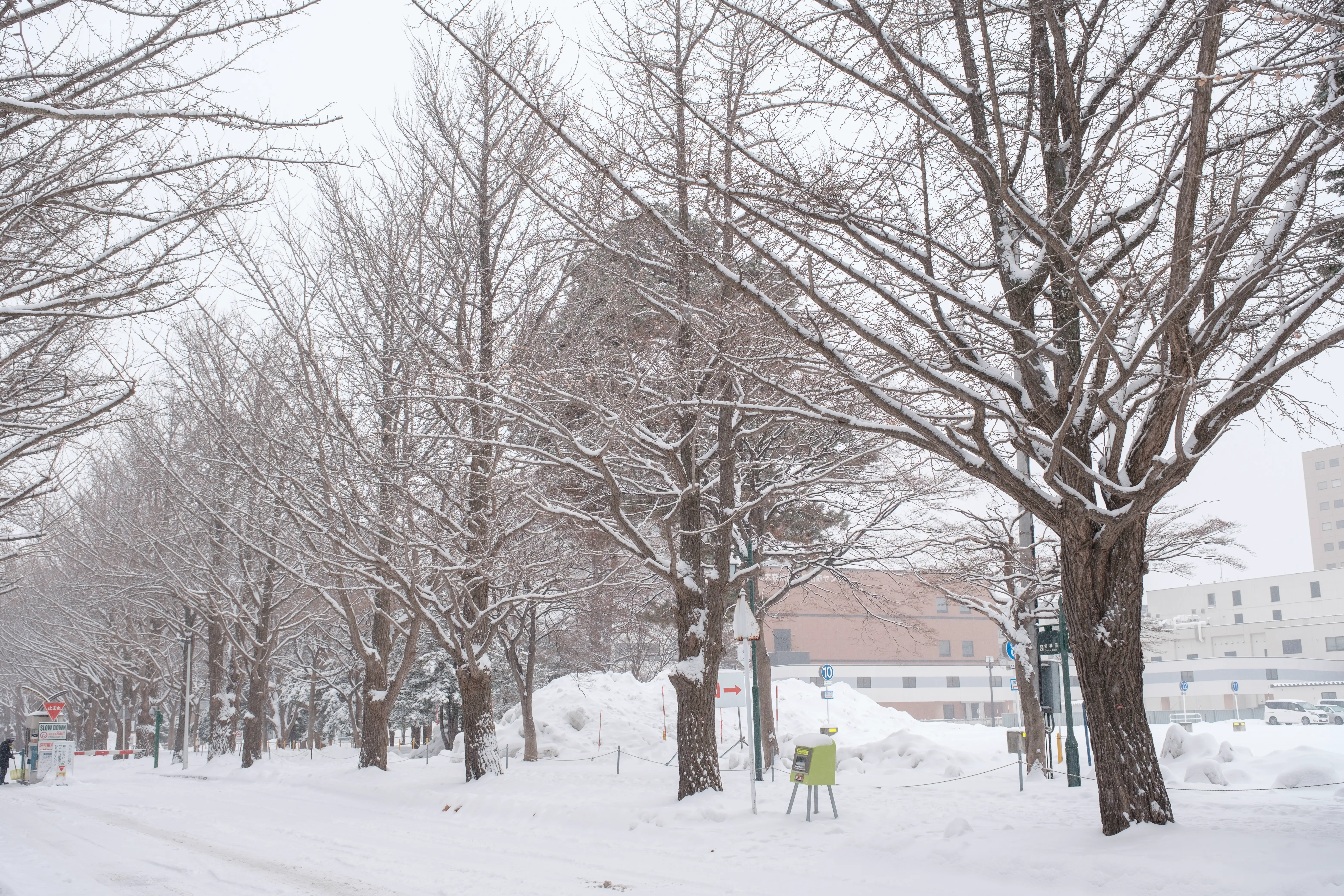 hokkaido photo