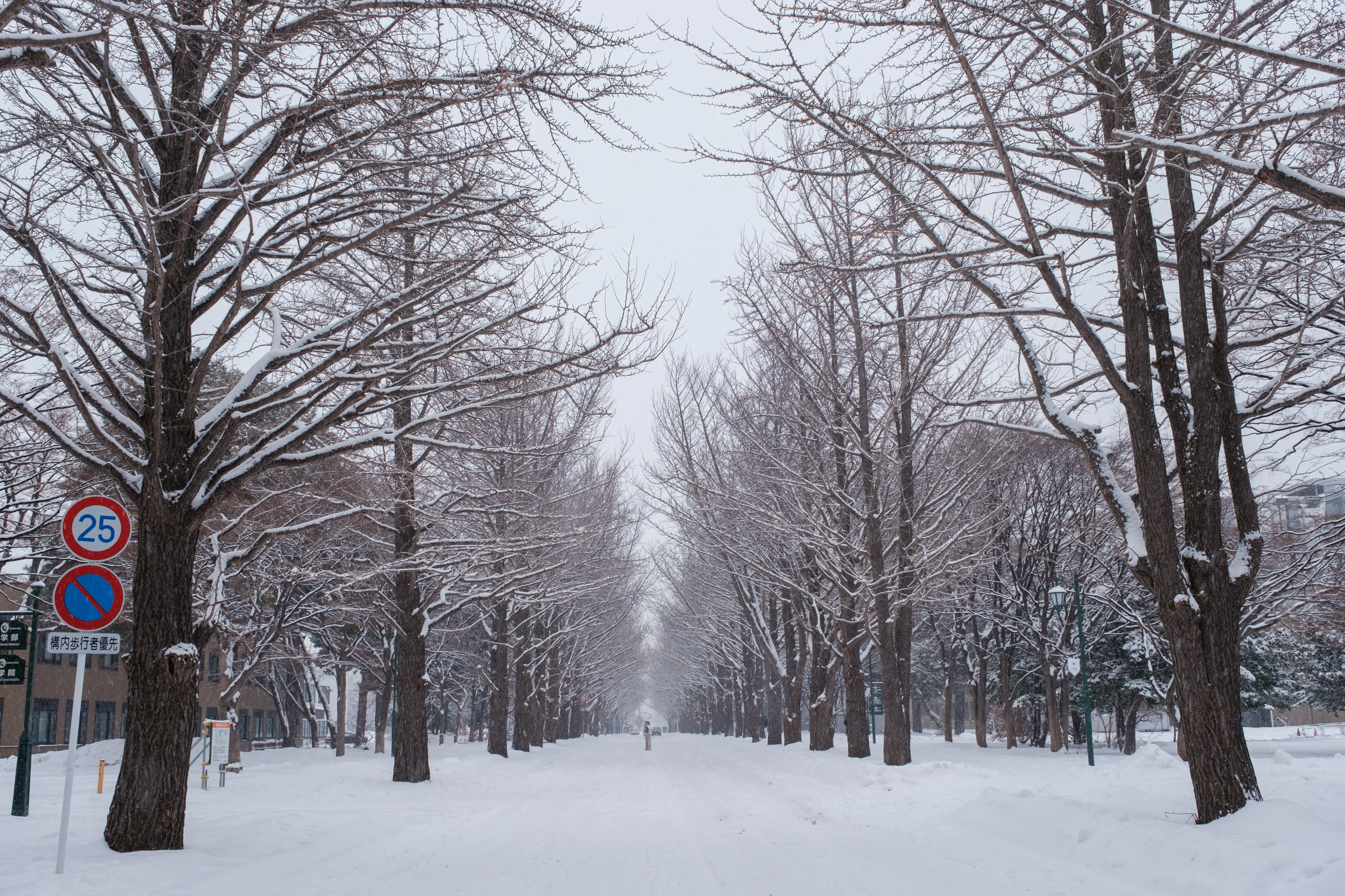 hokkaido photo