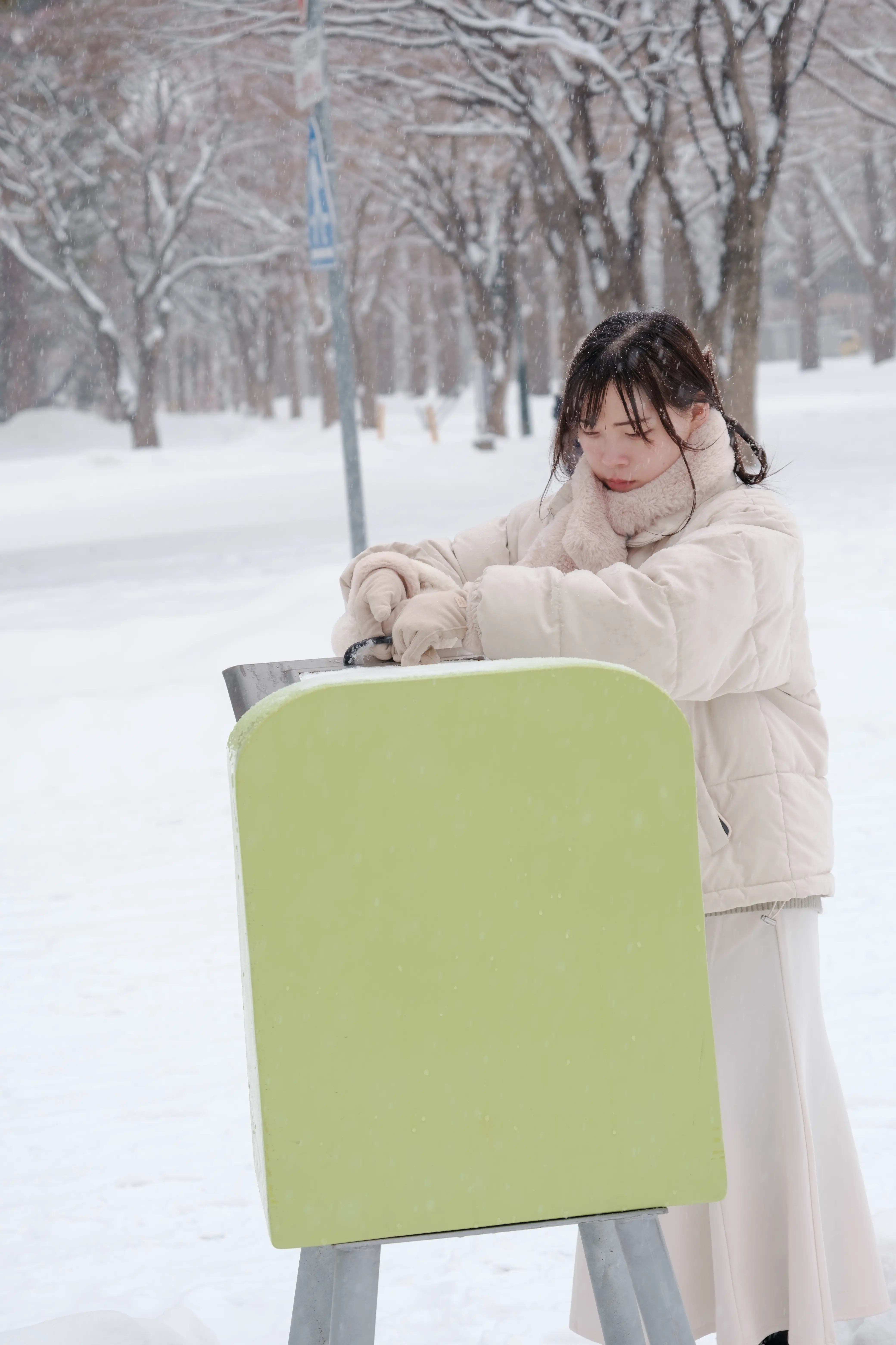 hokkaido photo