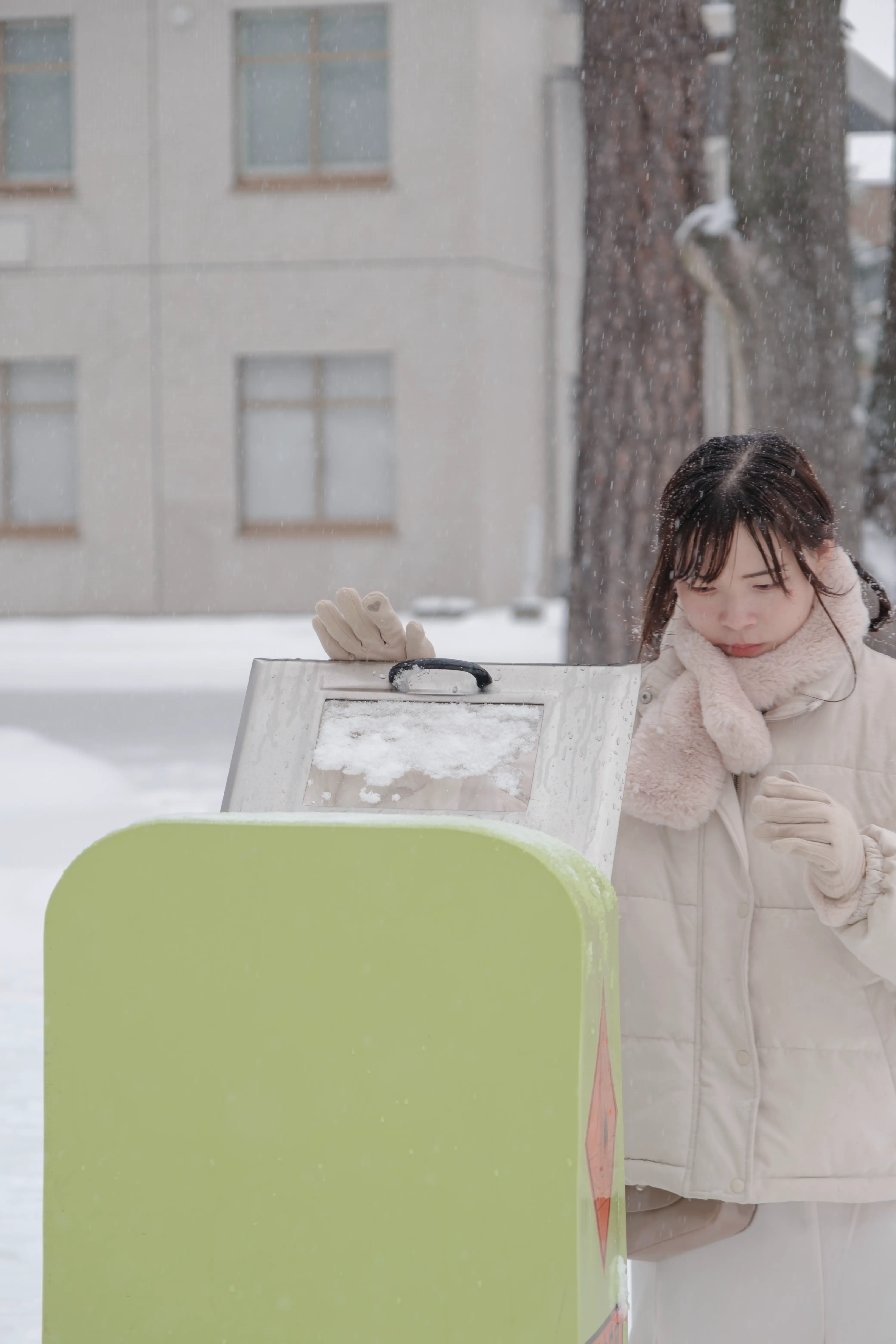 hokkaido photo