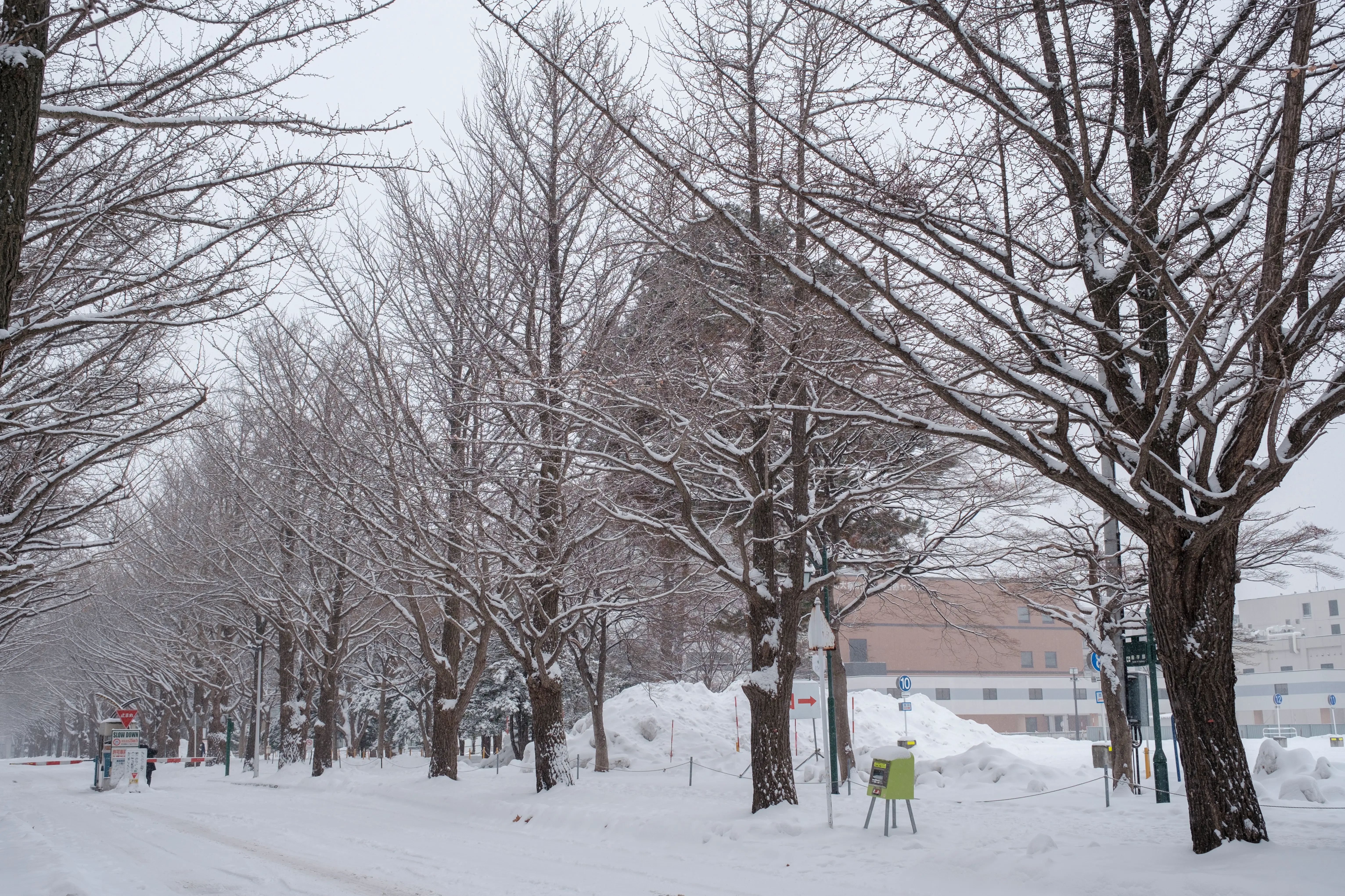 hokkaido photo