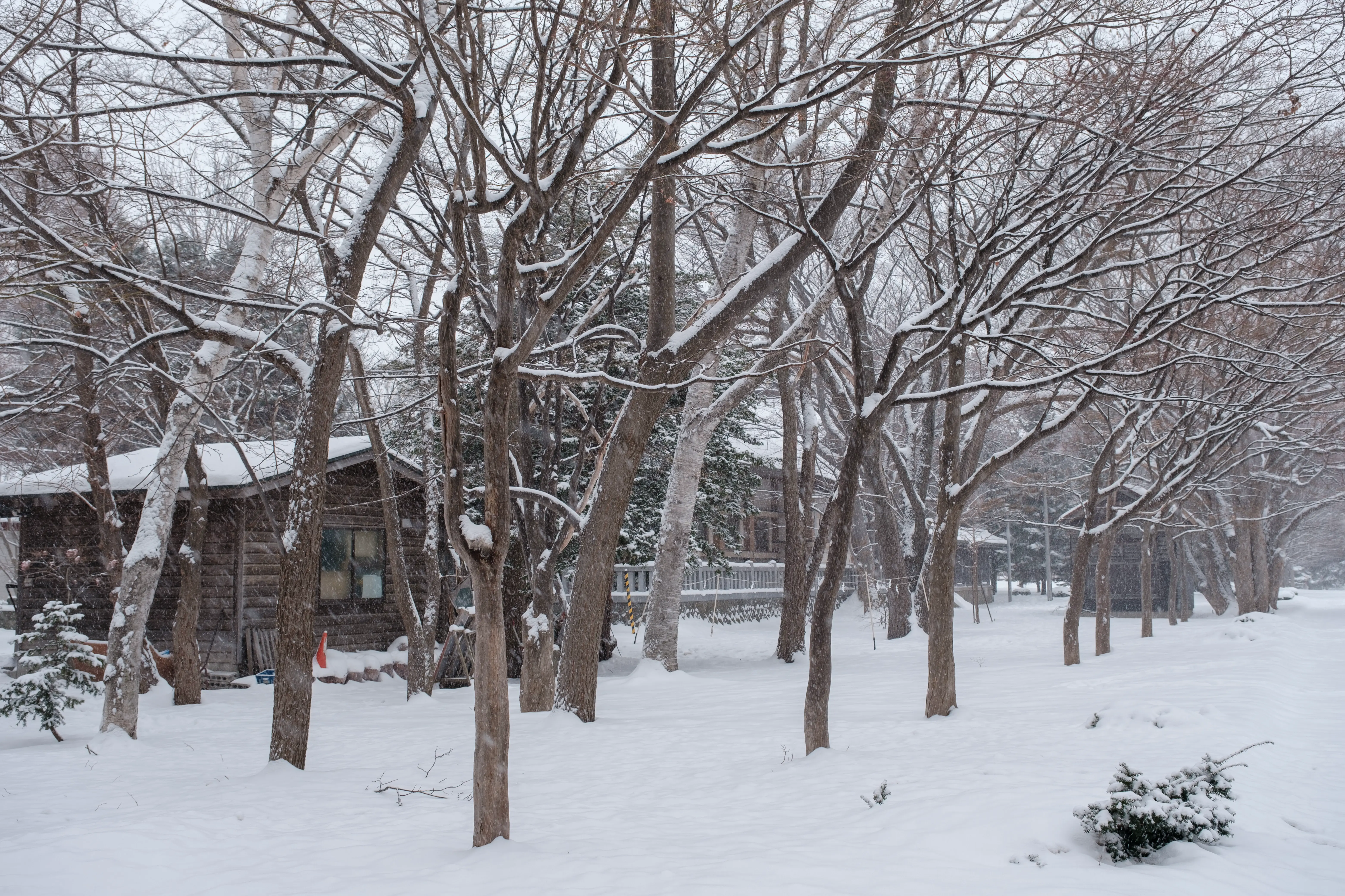 hokkaido photo
