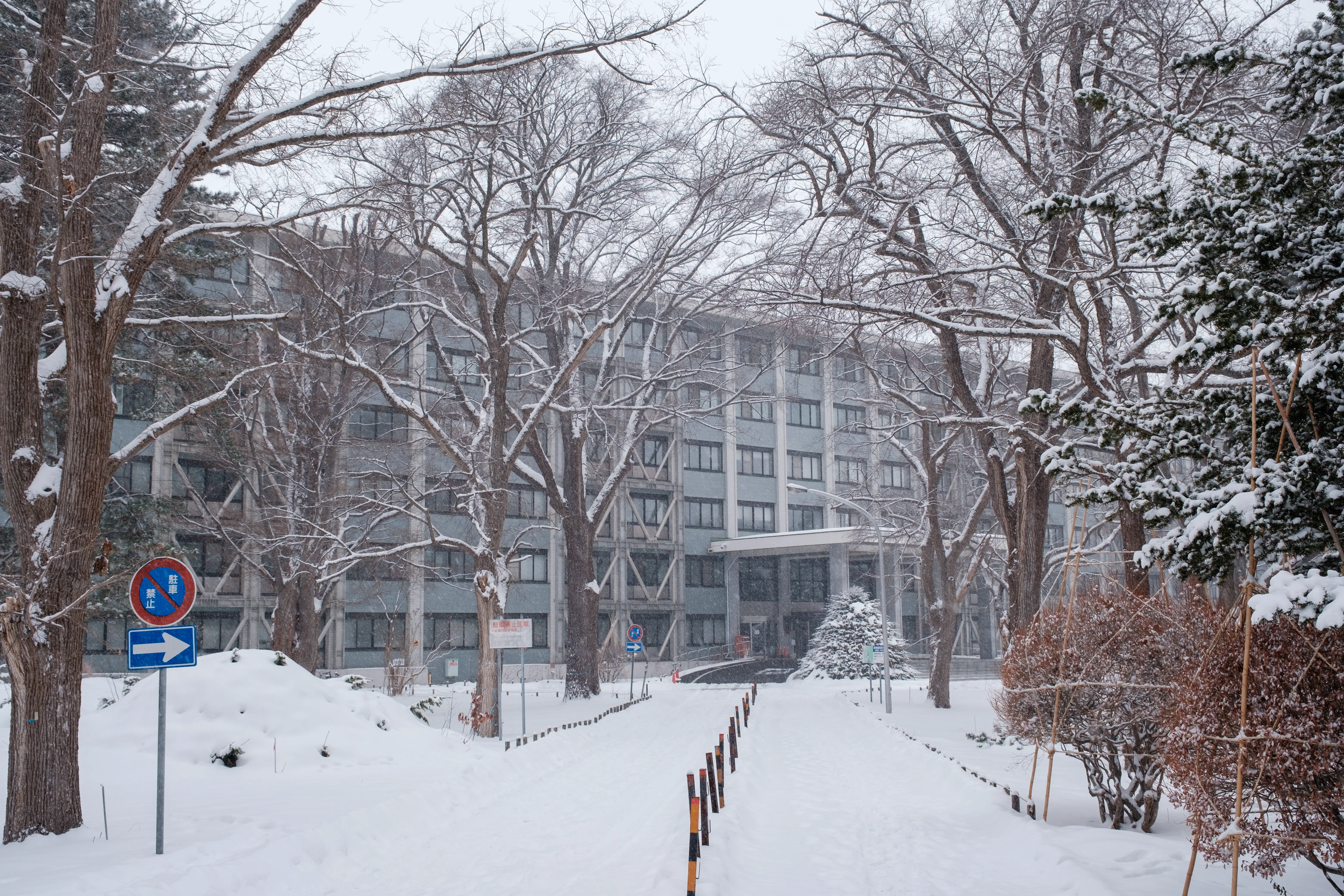 hokkaido photo