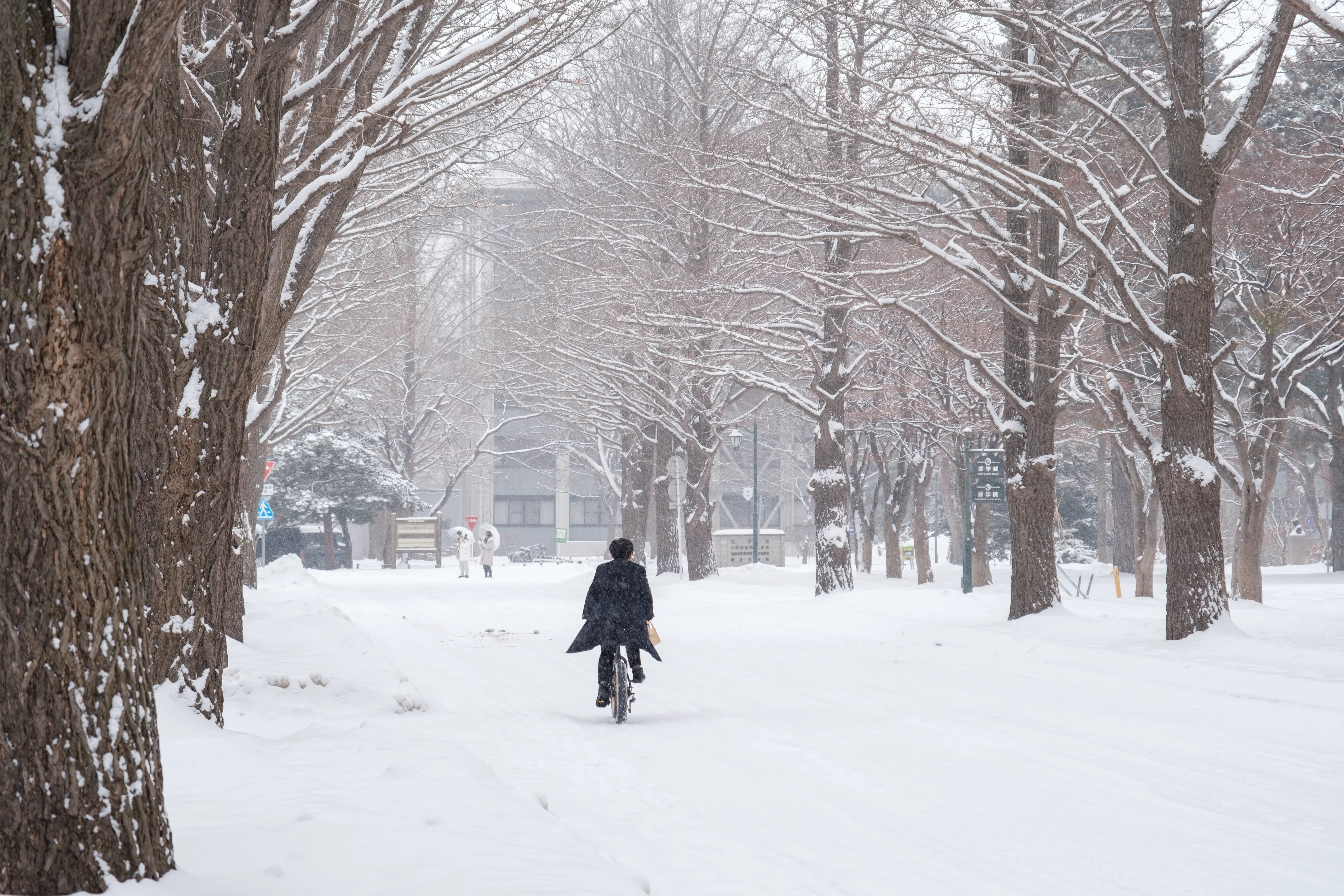 hokkaido photo