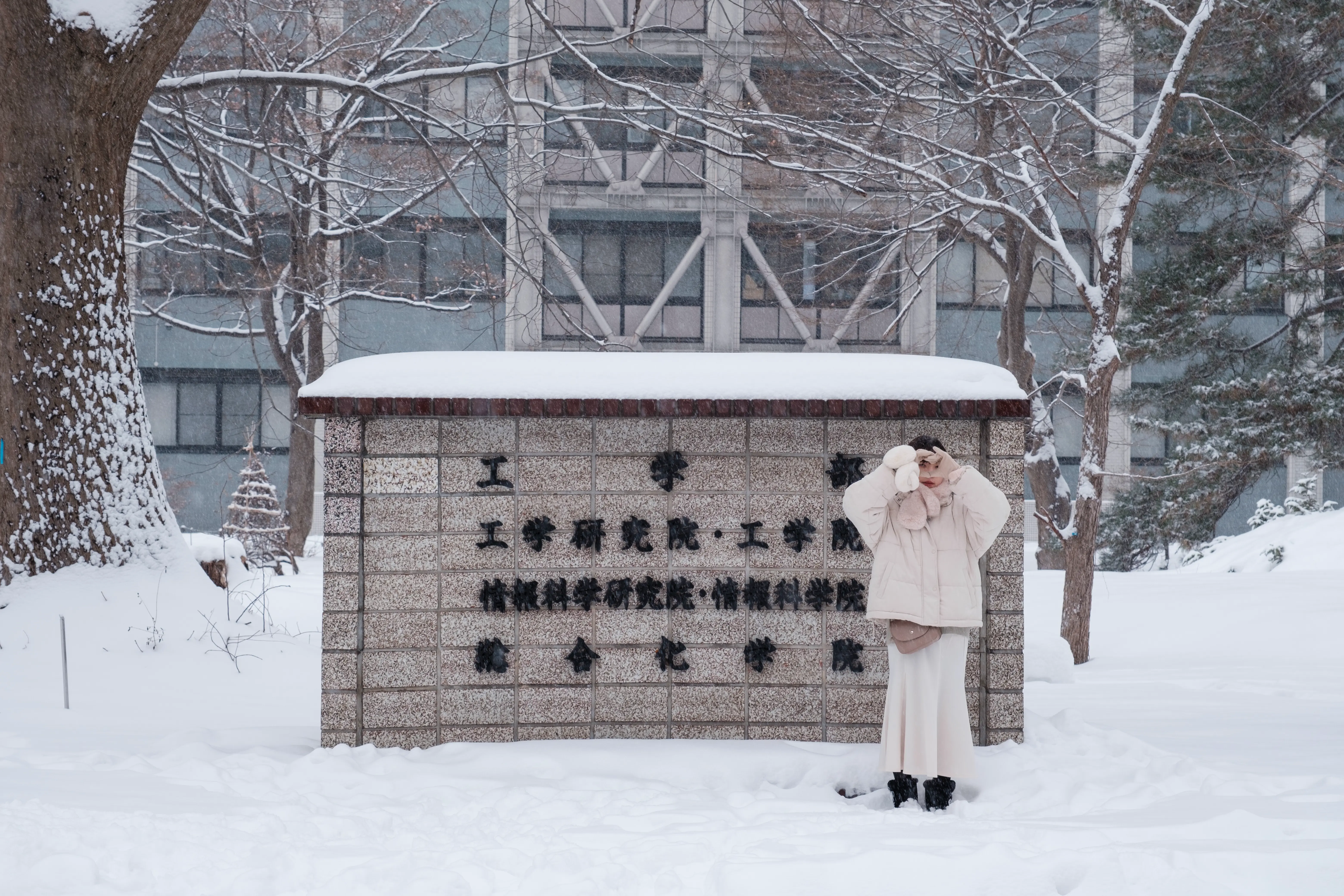 hokkaido photo