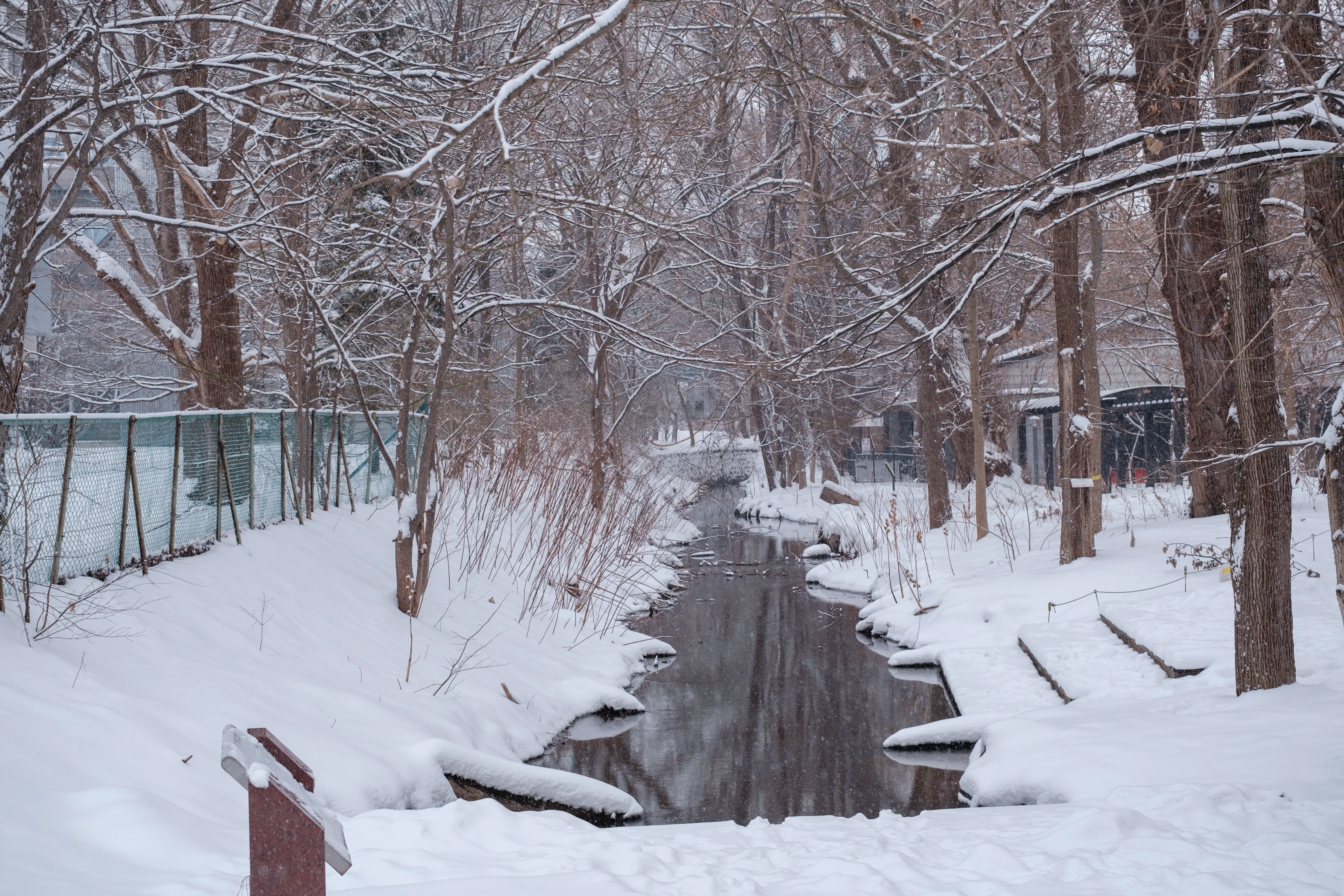 hokkaido photo