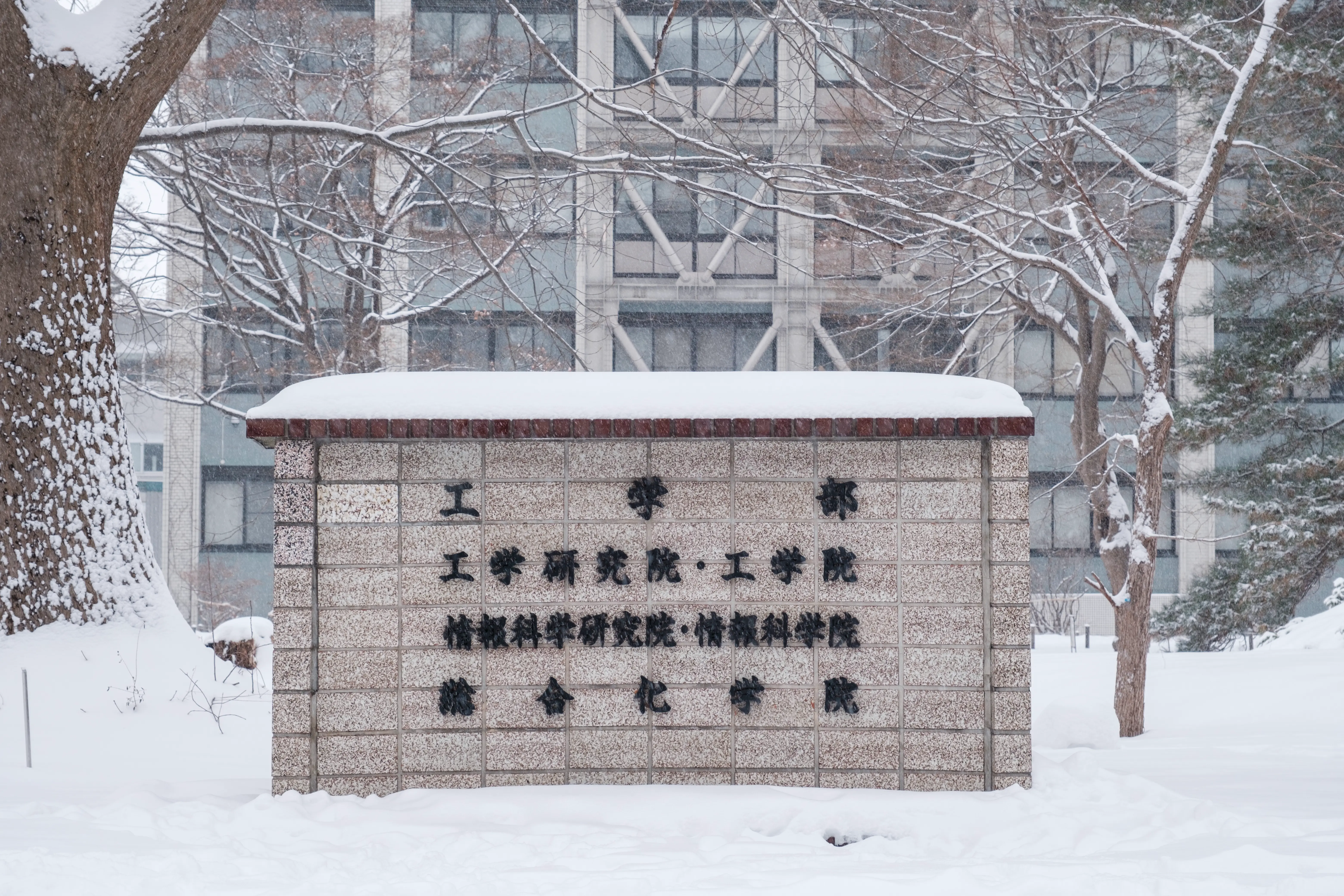 hokkaido photo