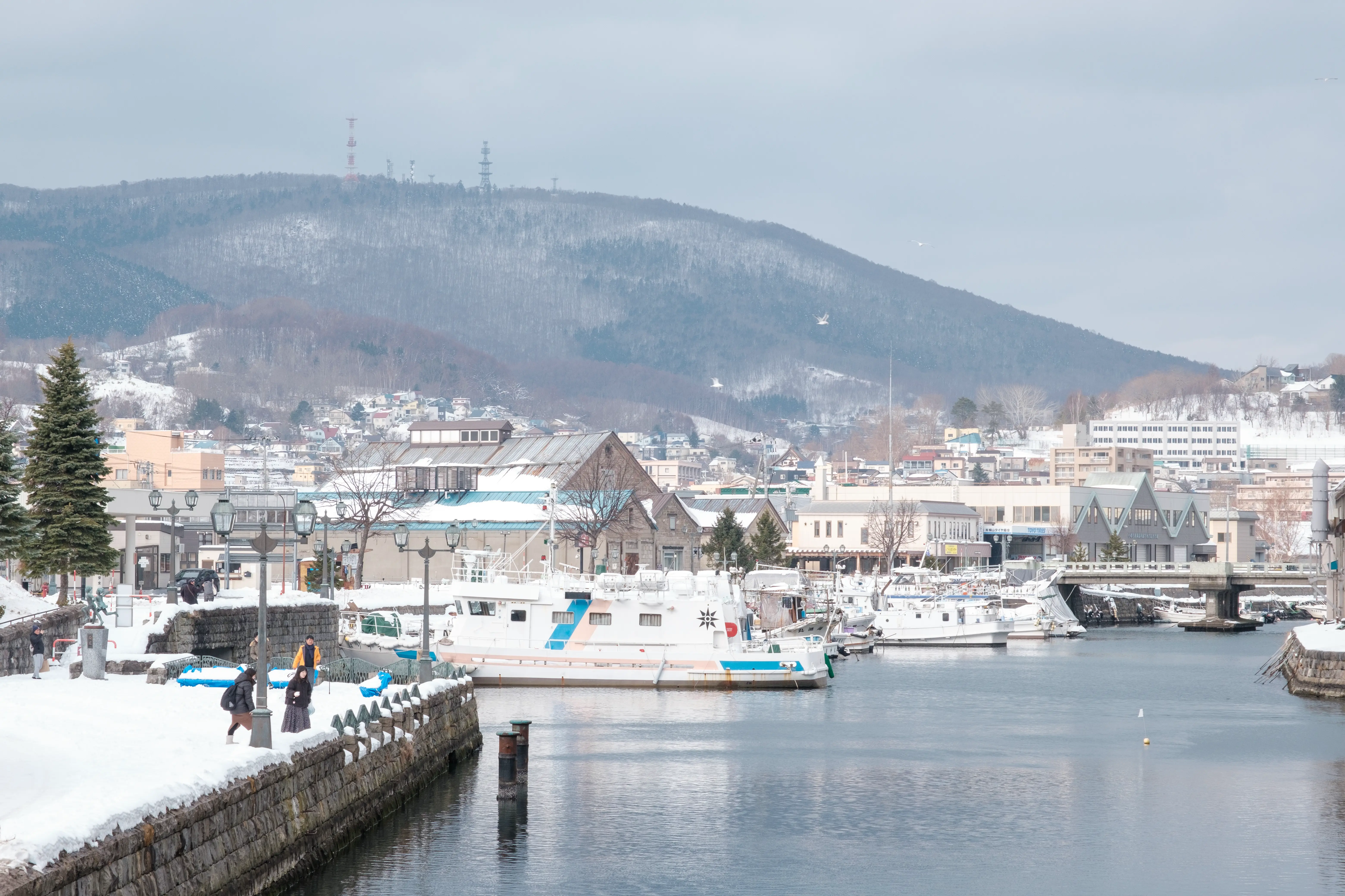 hokkaido photo