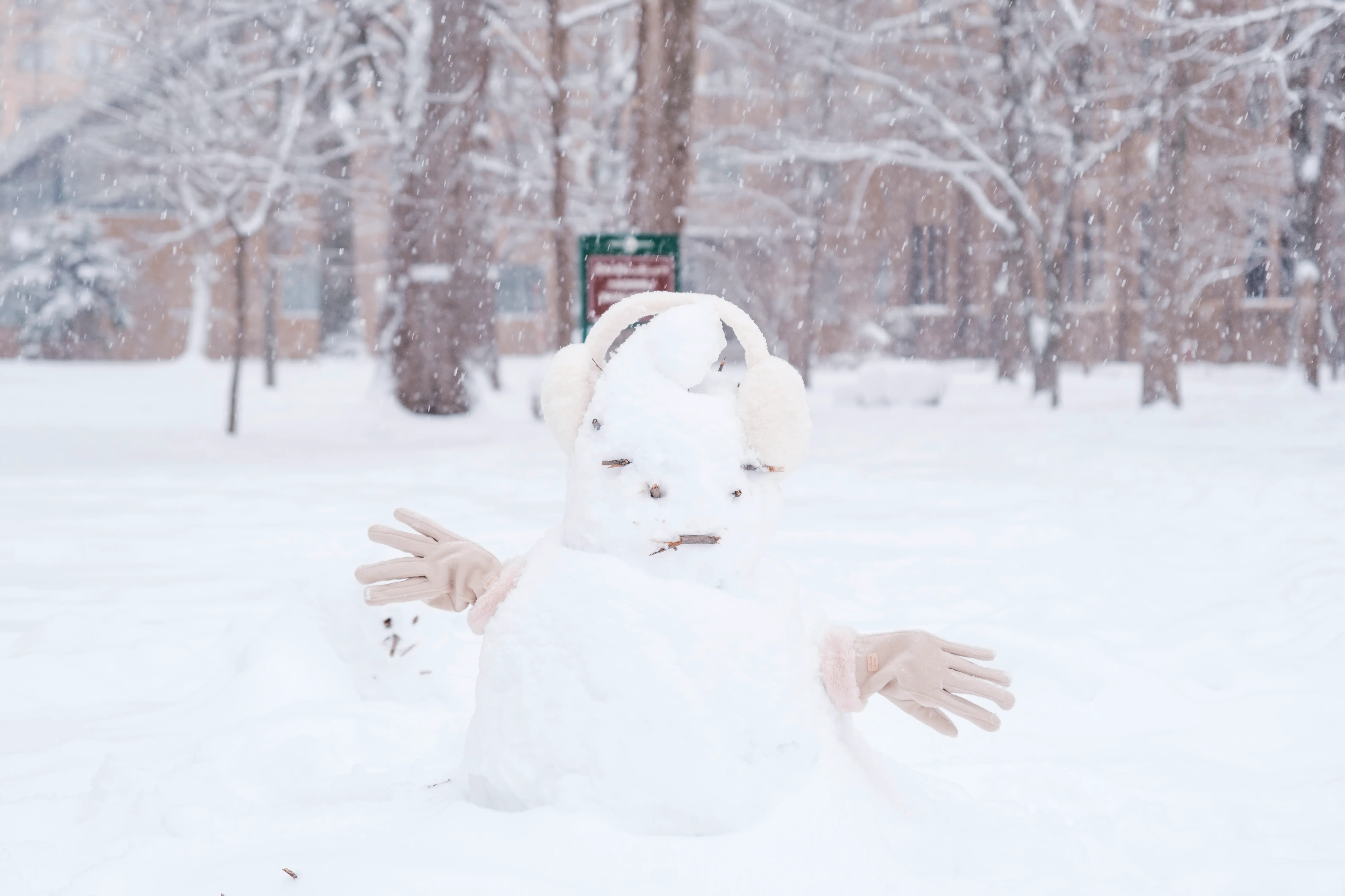 hokkaido photo
