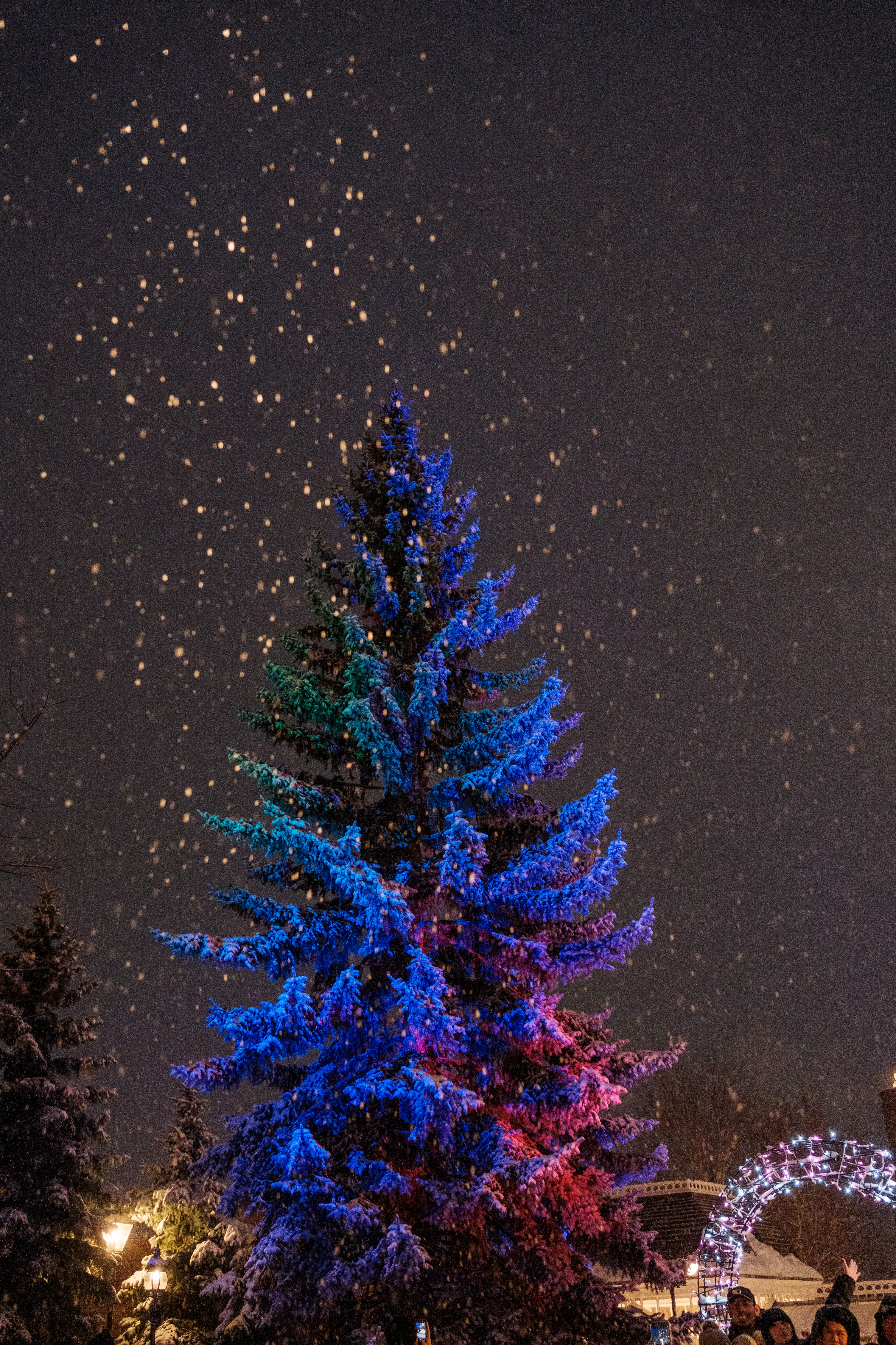 hokkaido photo