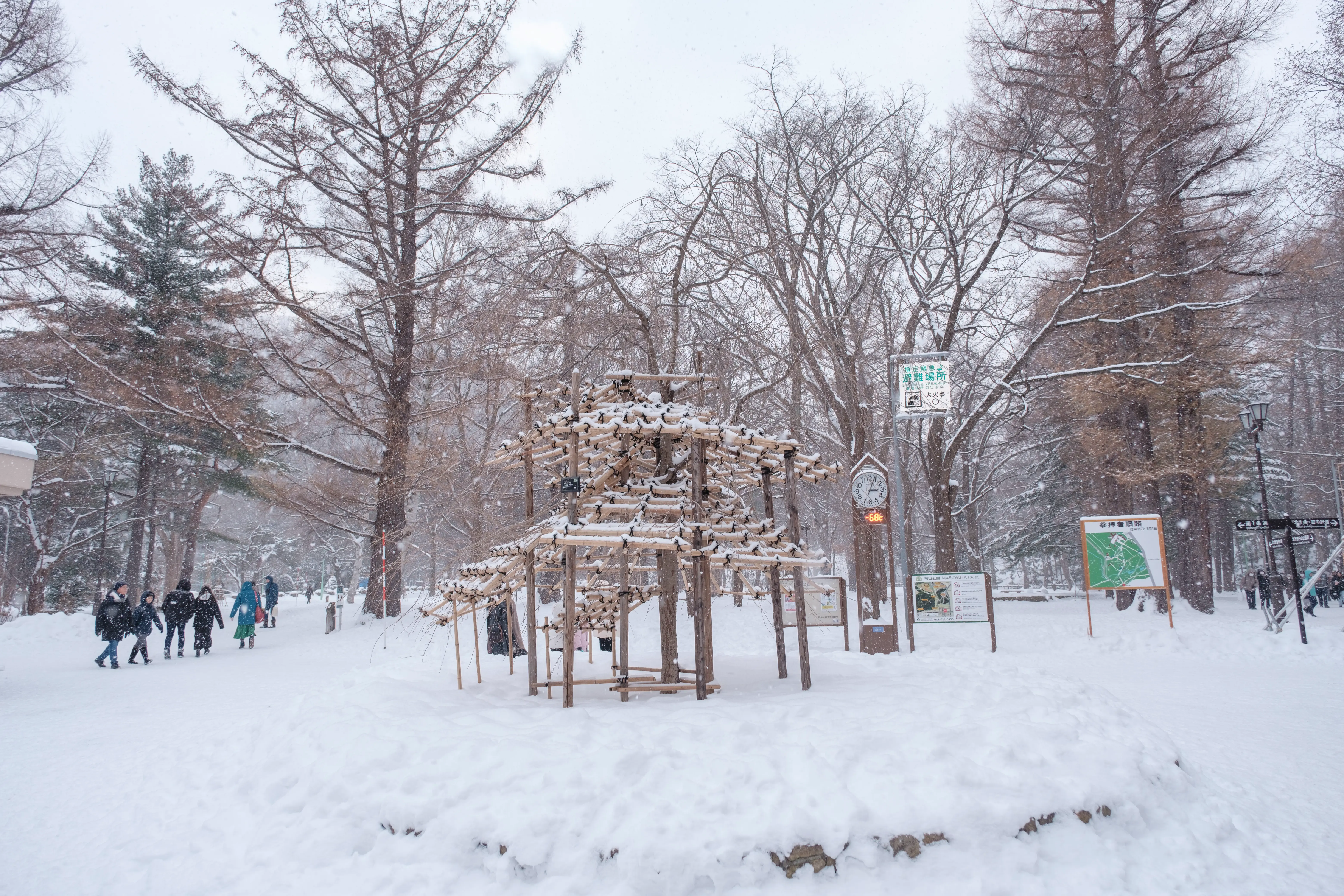 hokkaido photo
