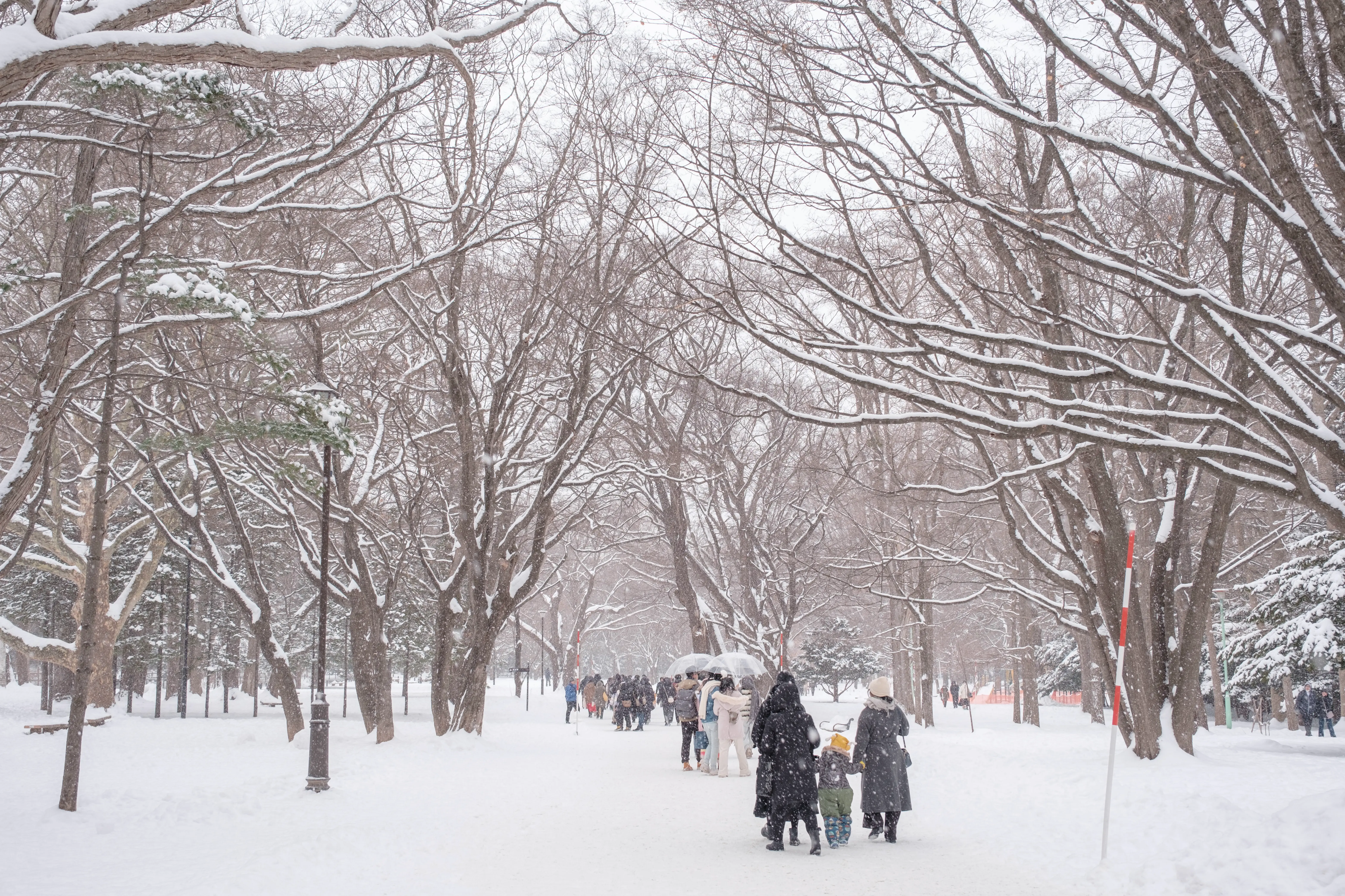 hokkaido photo