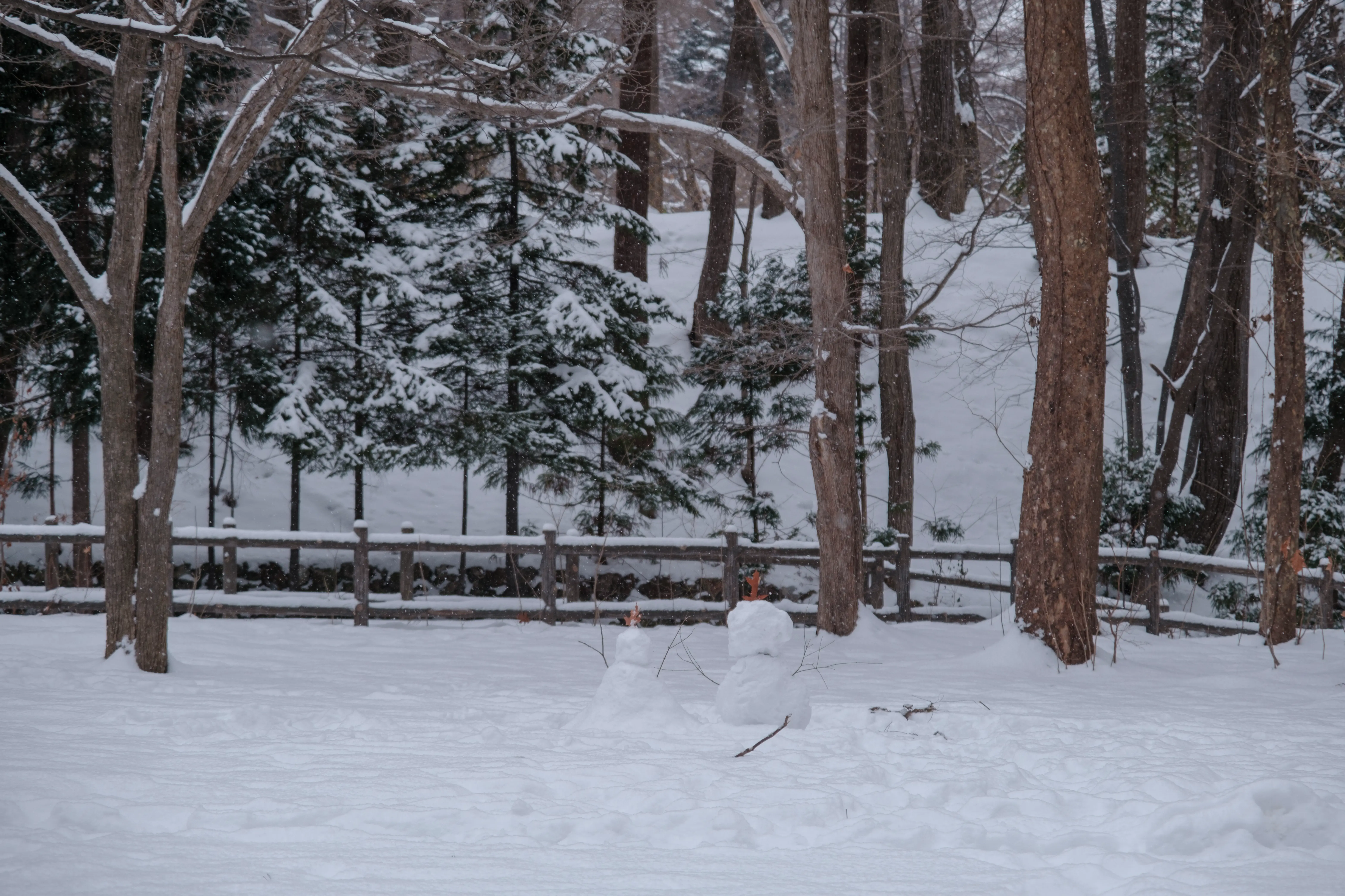 hokkaido photo