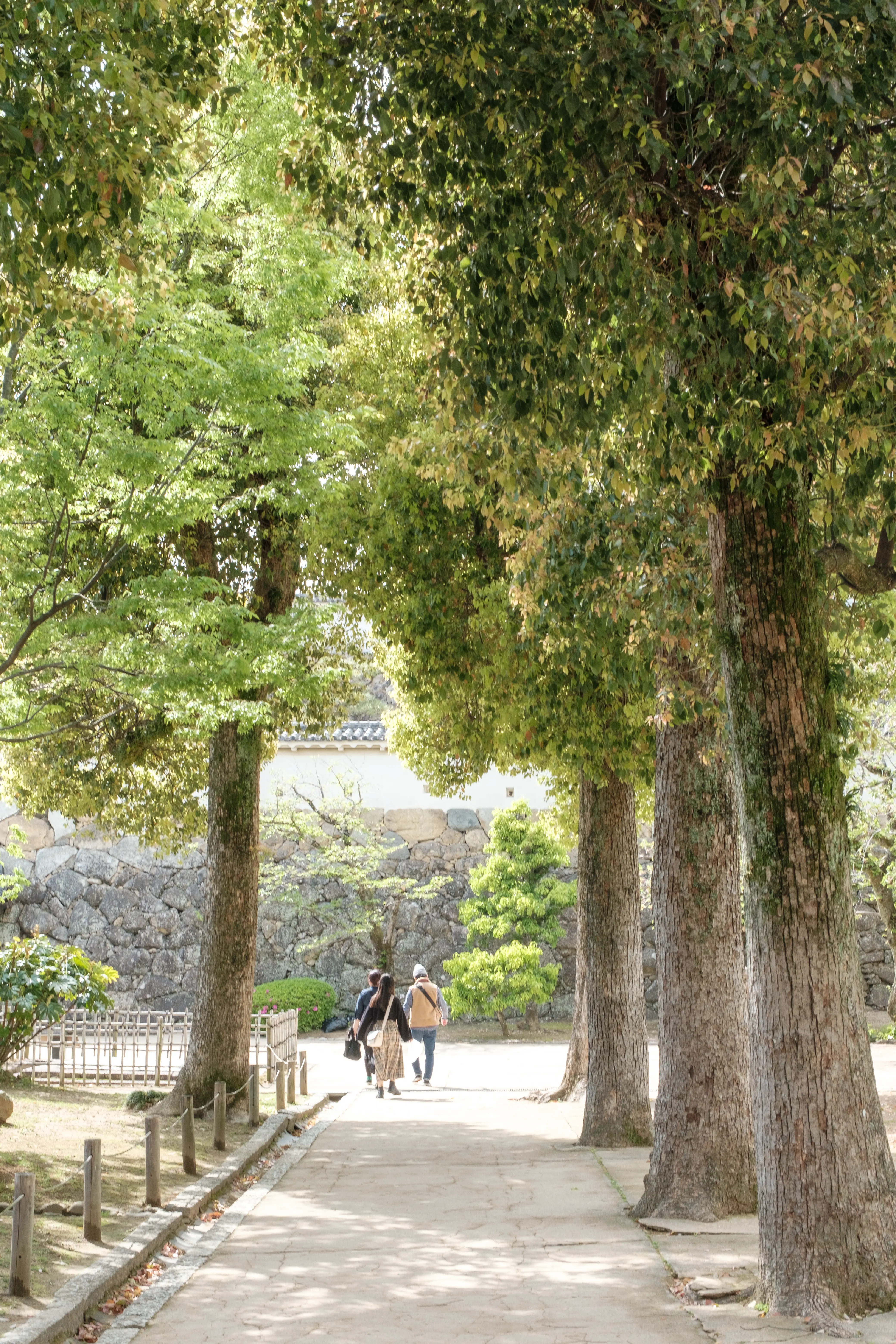 kobe photo