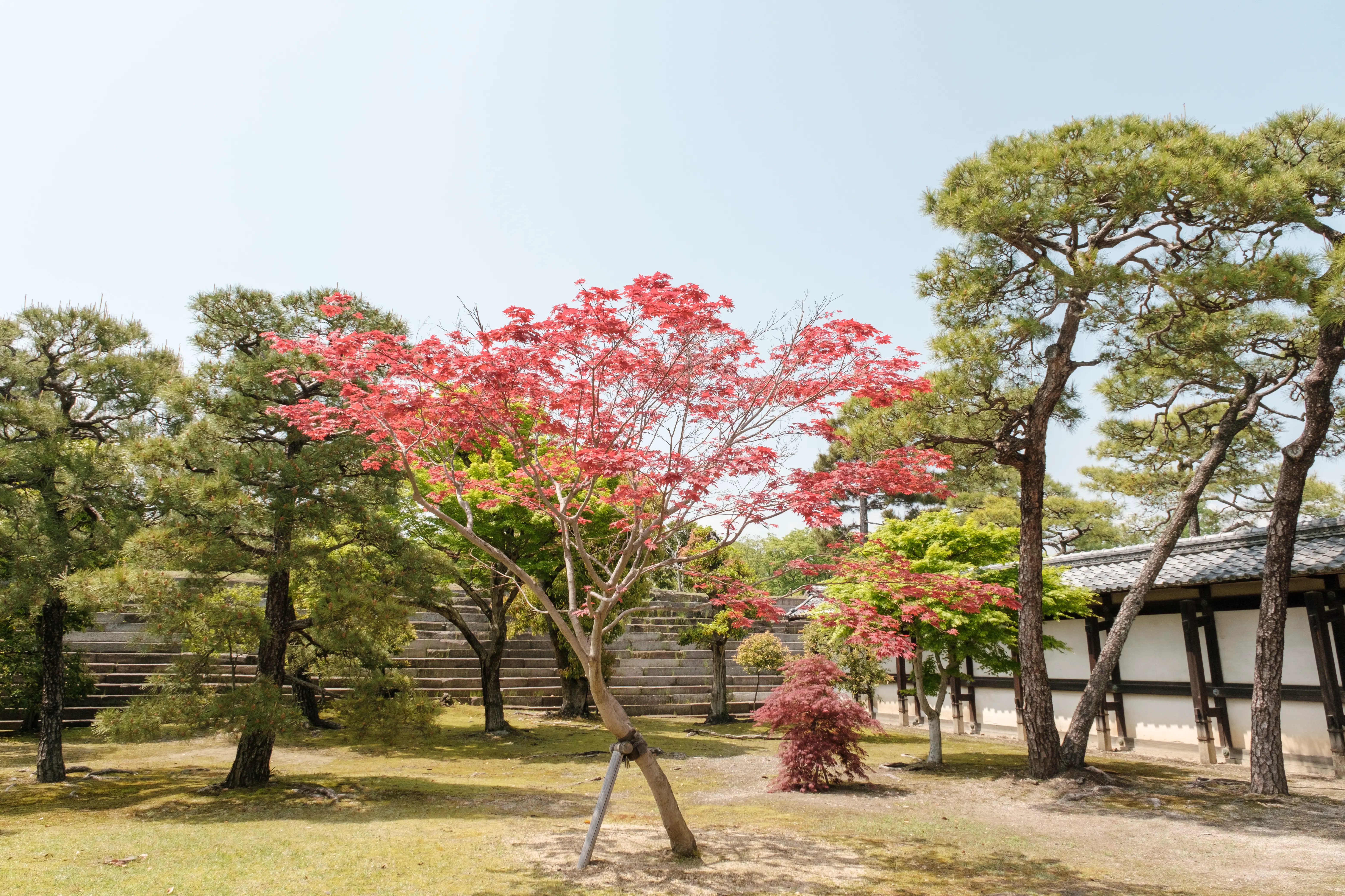 kyoto photo