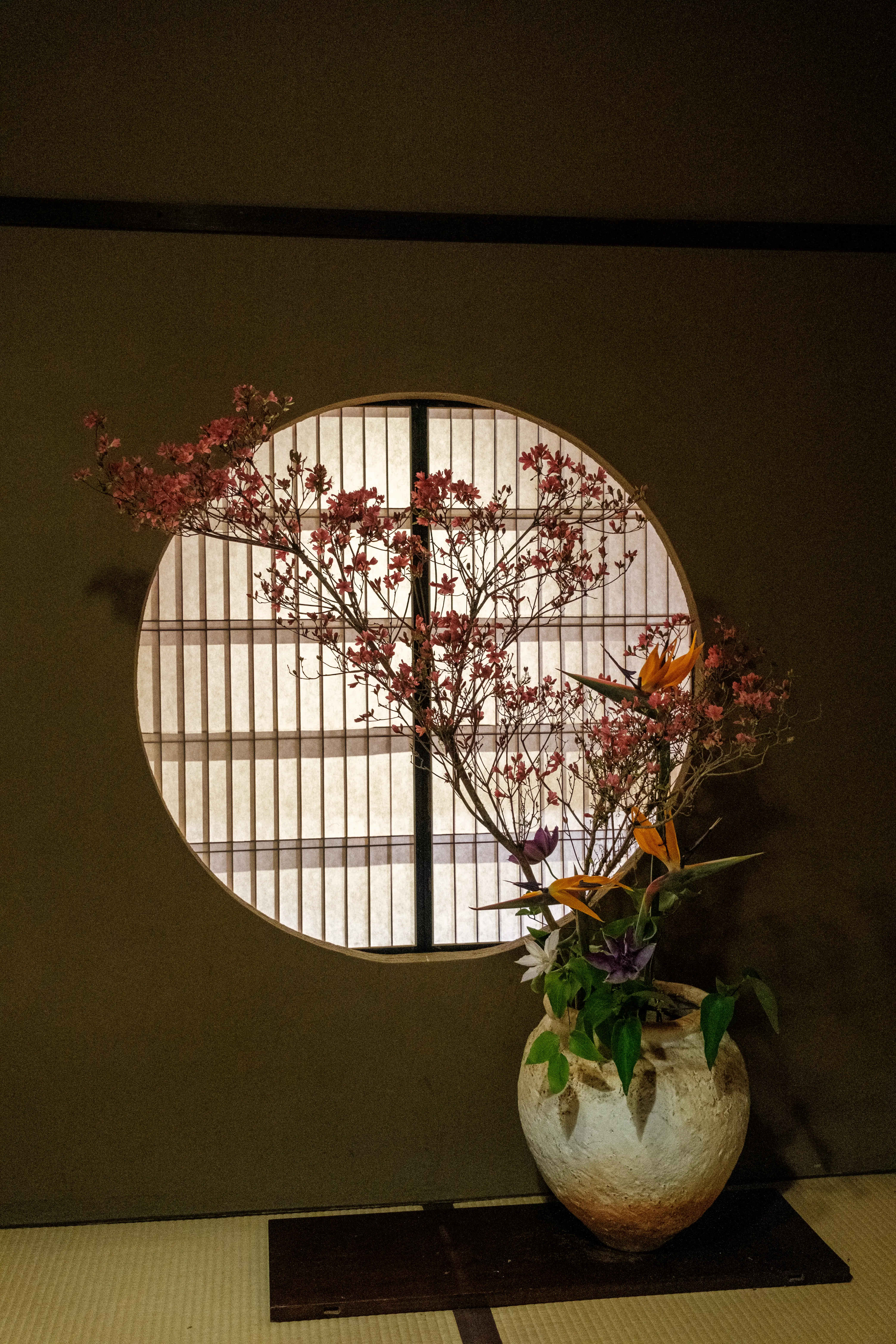 kyoto photo