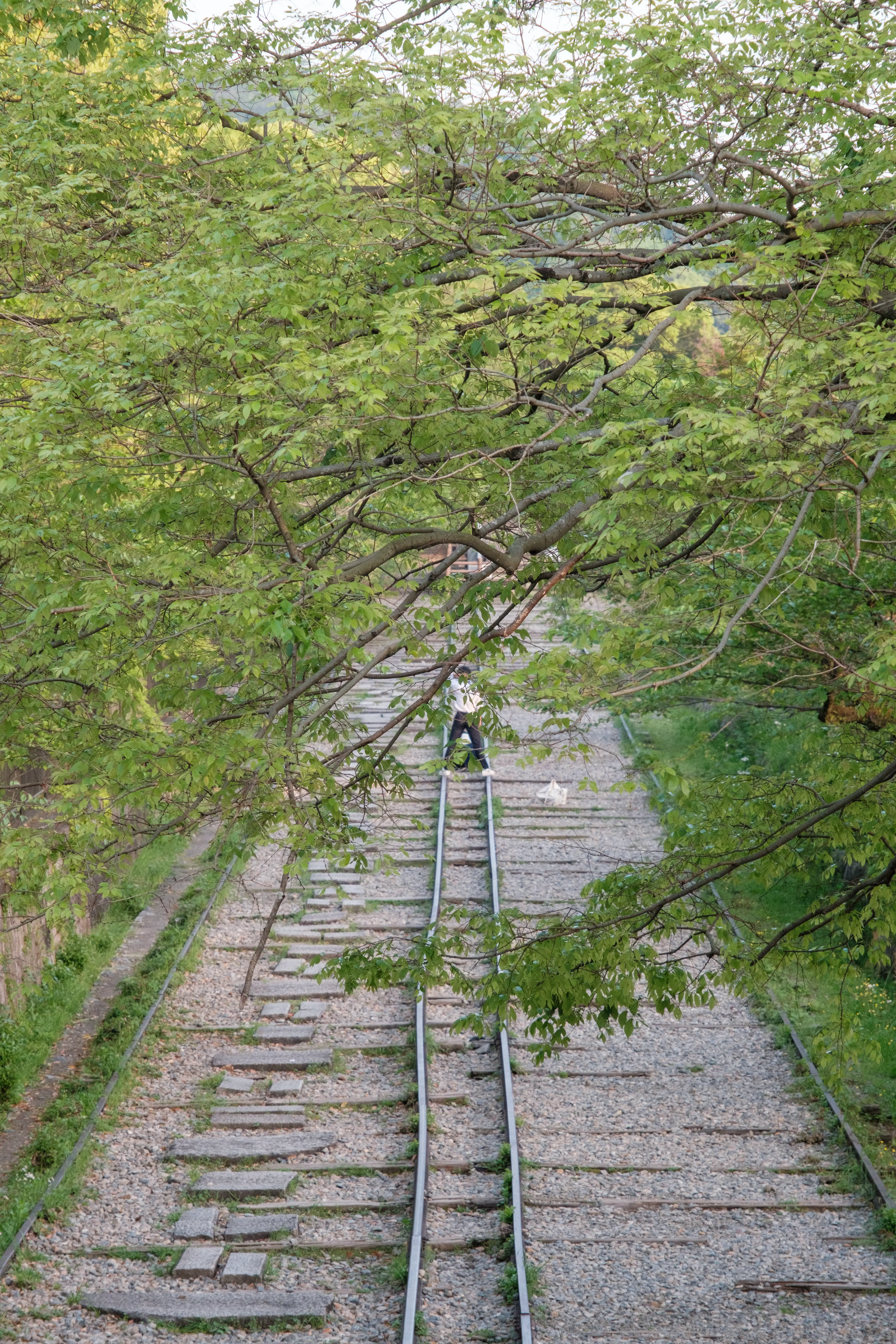 kyoto photo