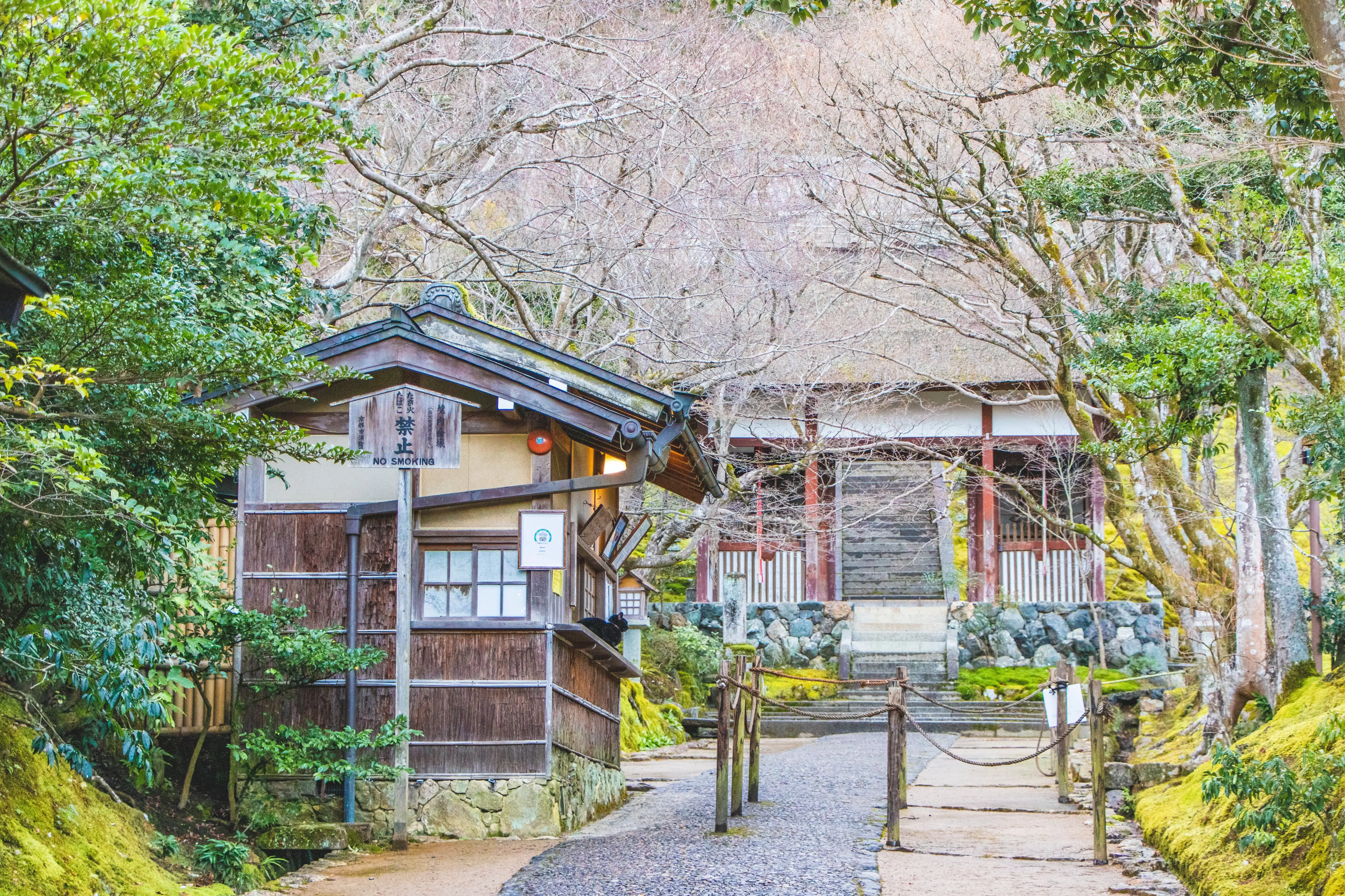 kyoto photo