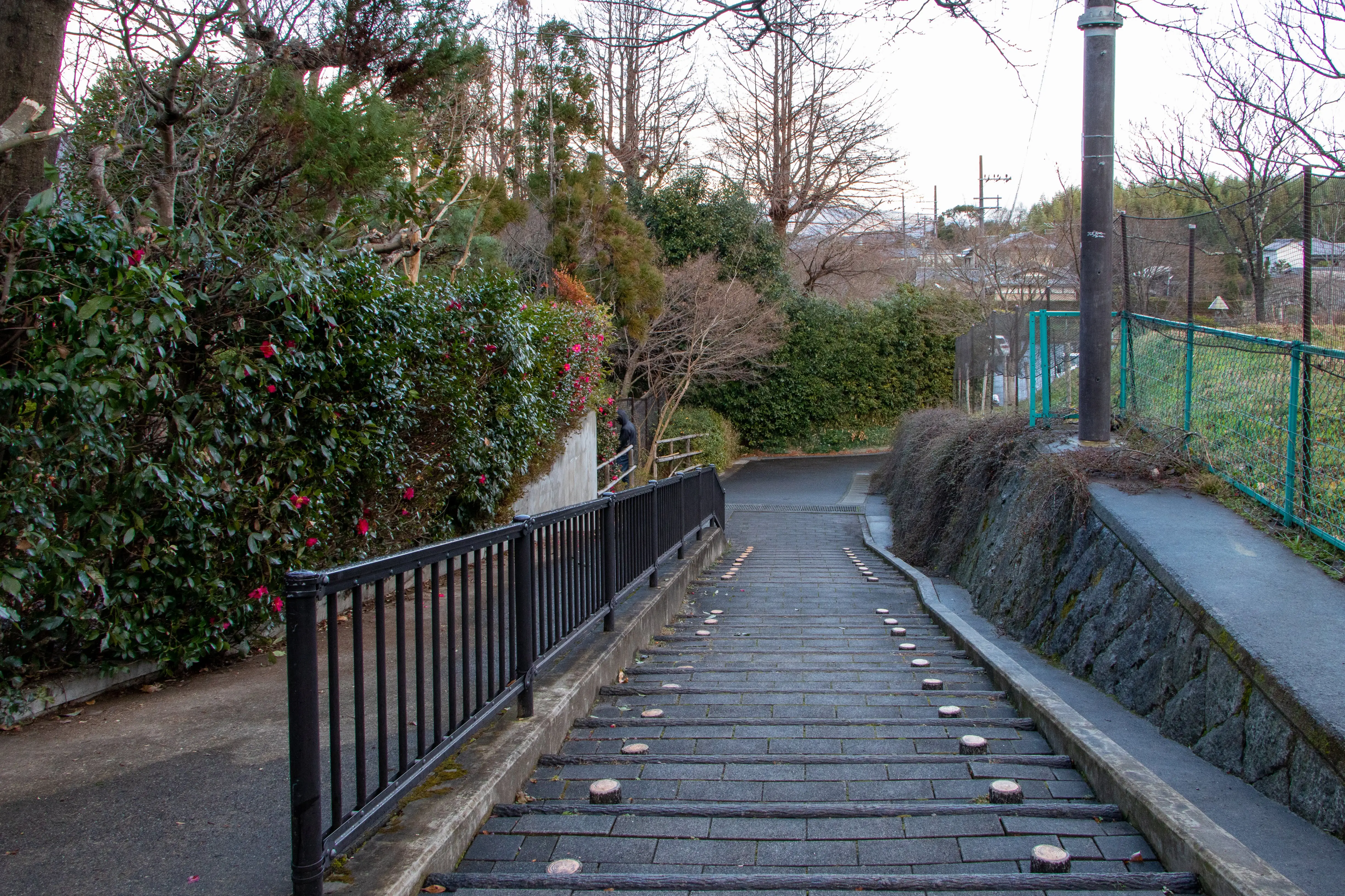 kyoto photo