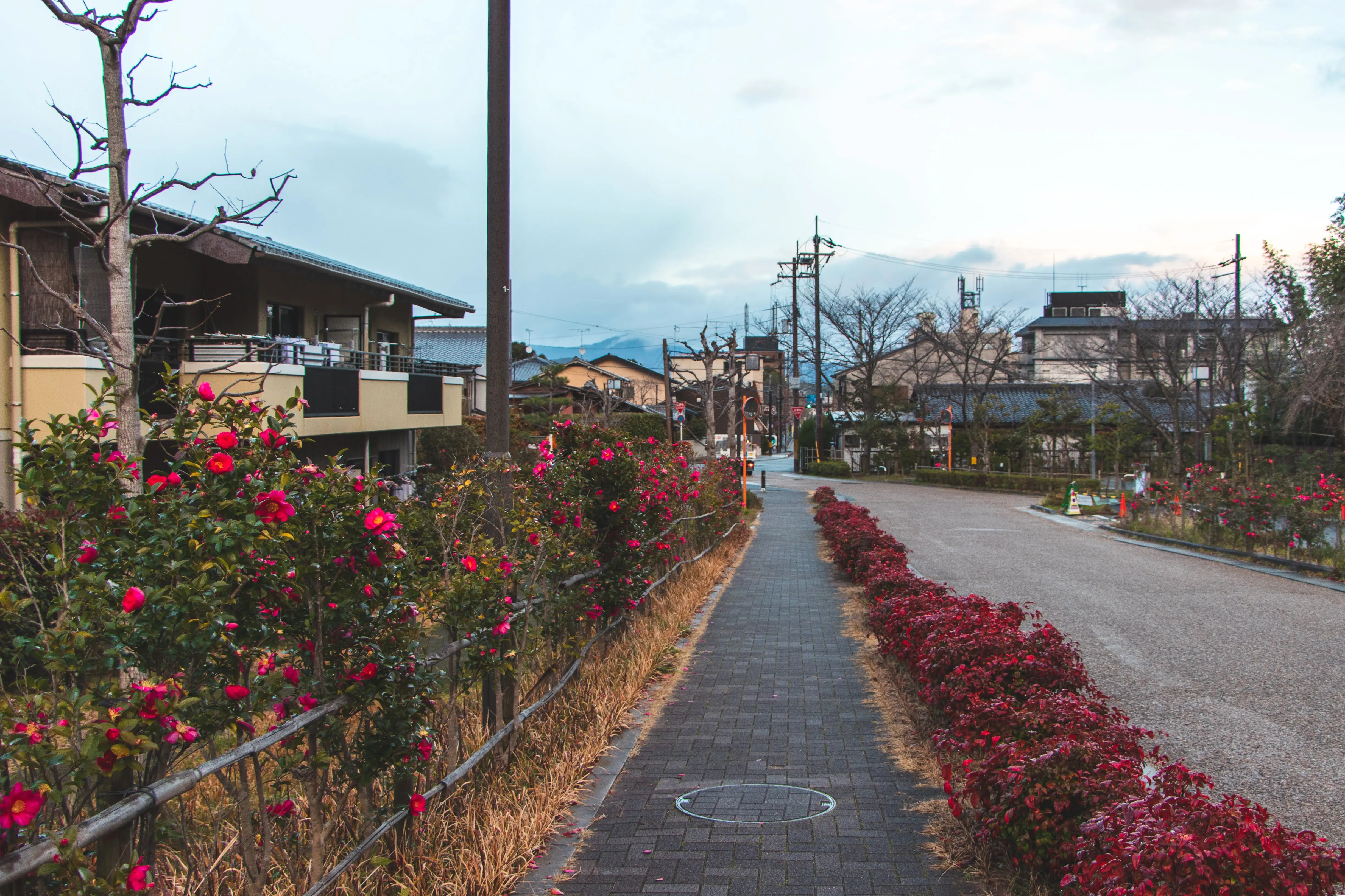kyoto photo