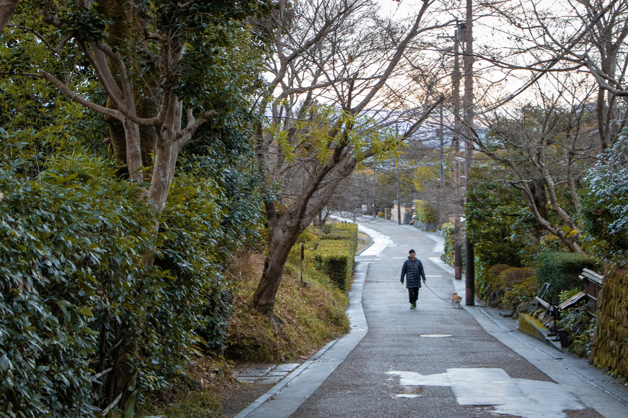 kyoto photo