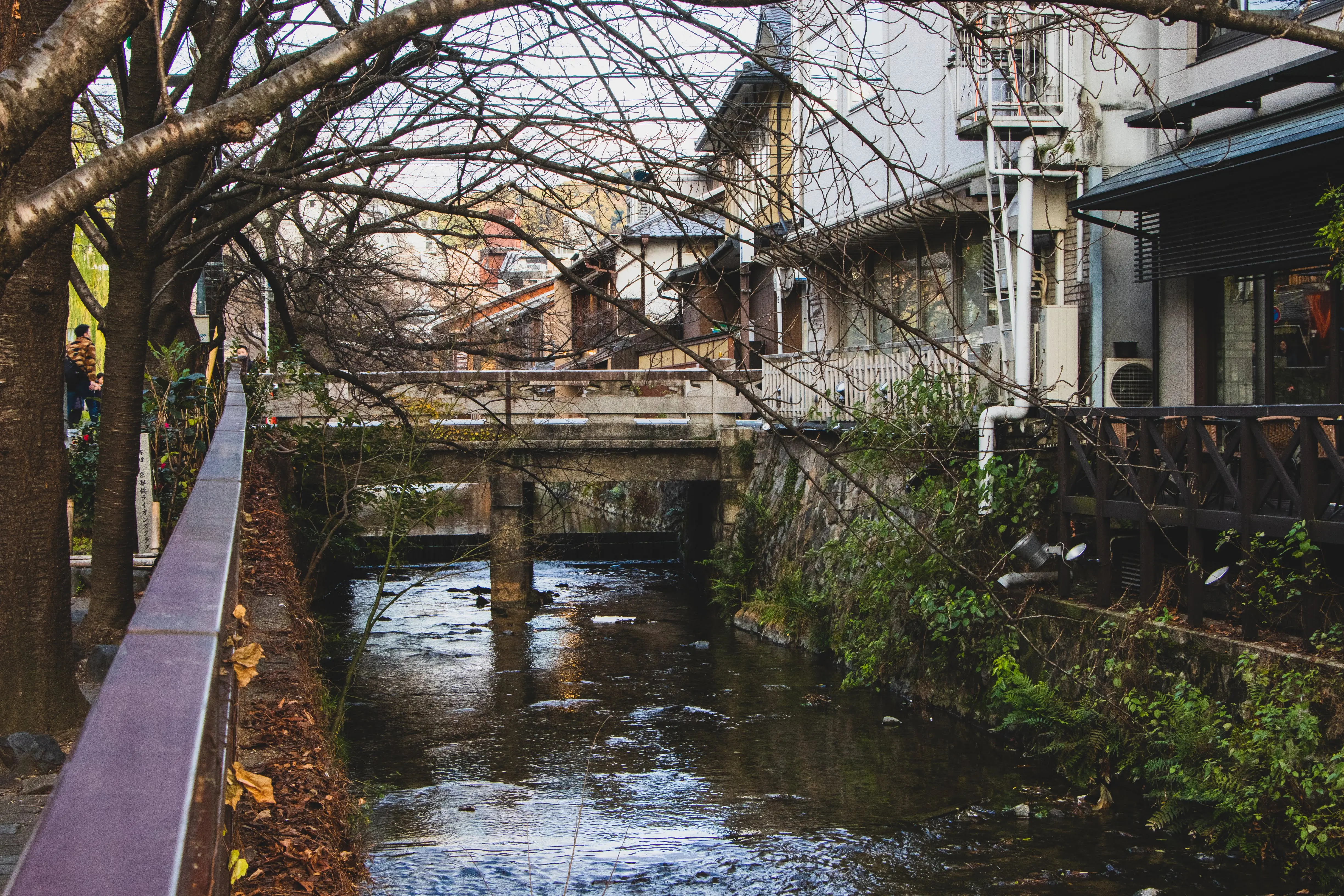 kyoto photo