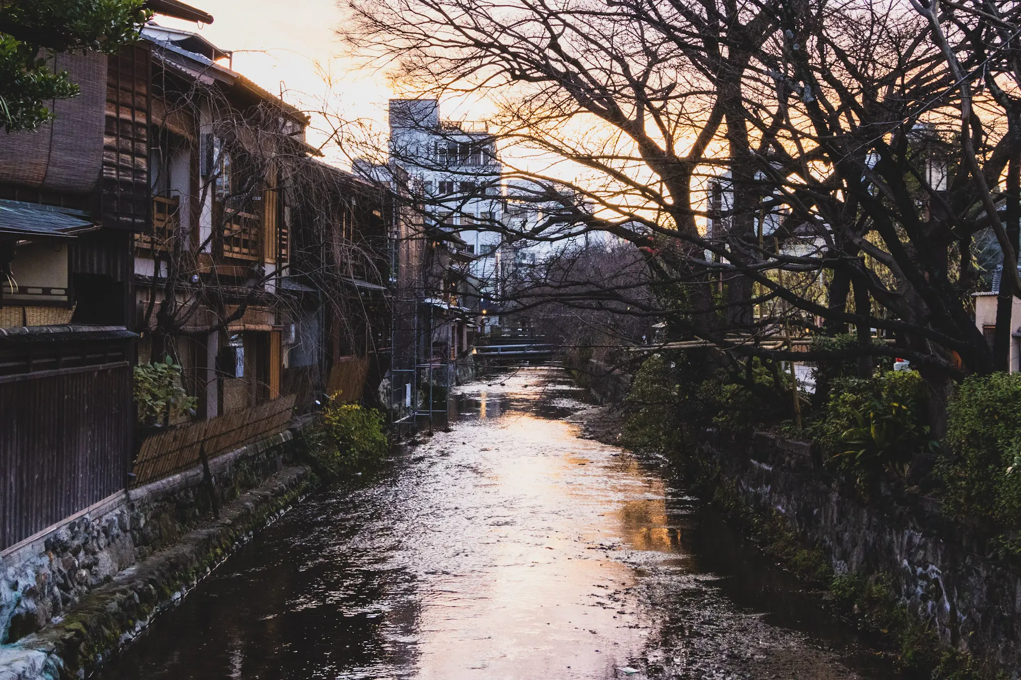 kyoto photo