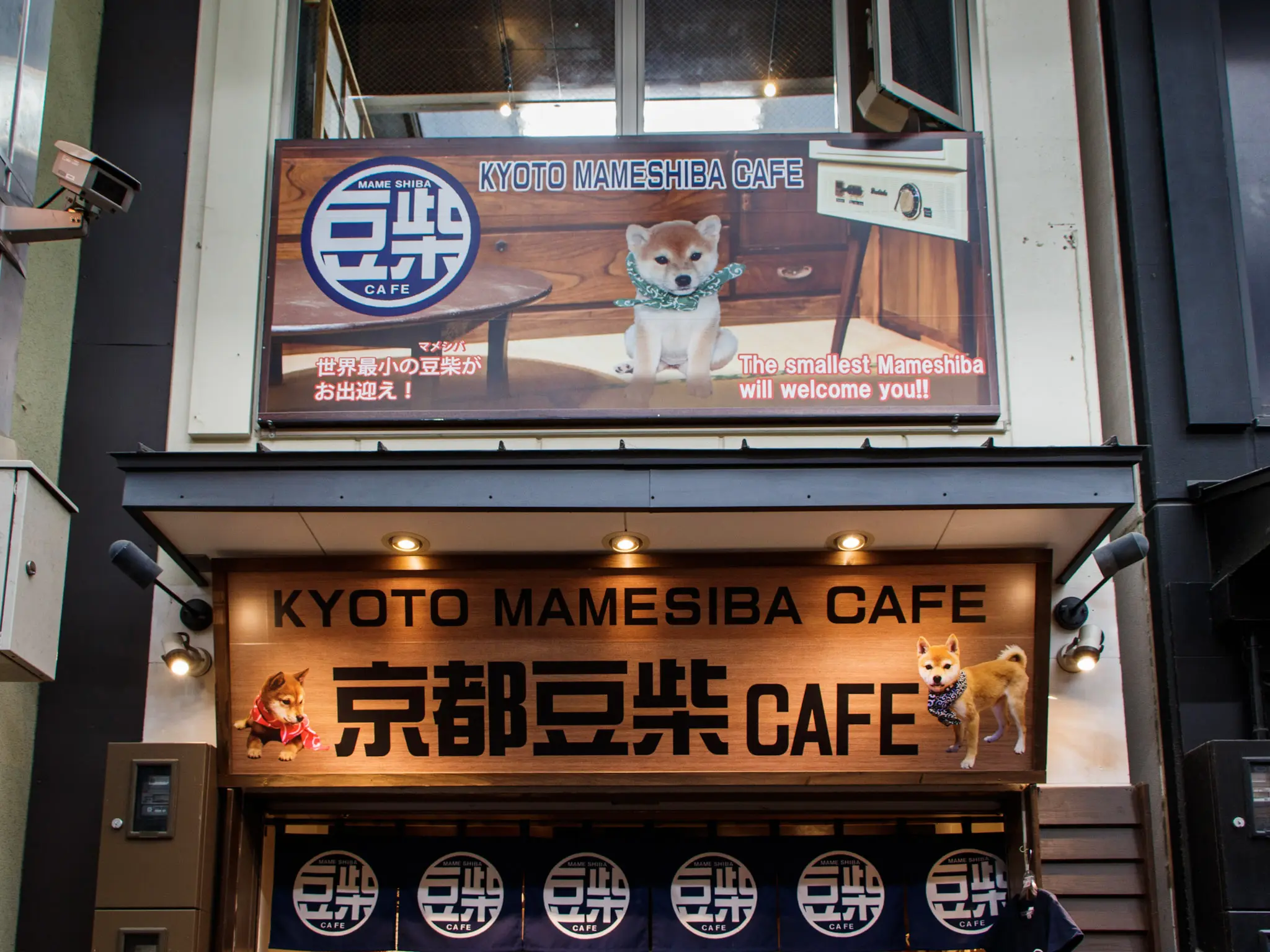 kyoto photo