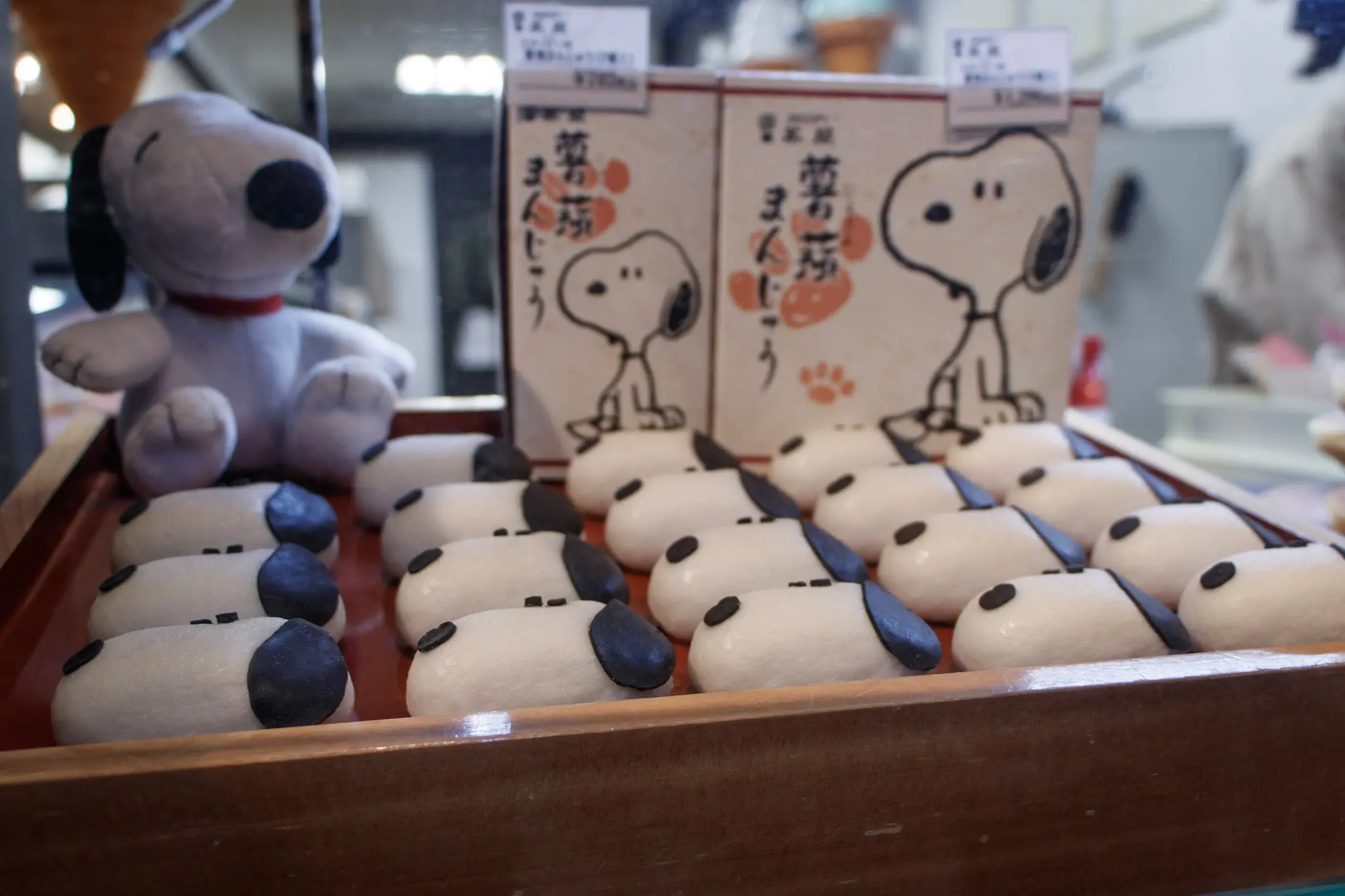 kyoto photo