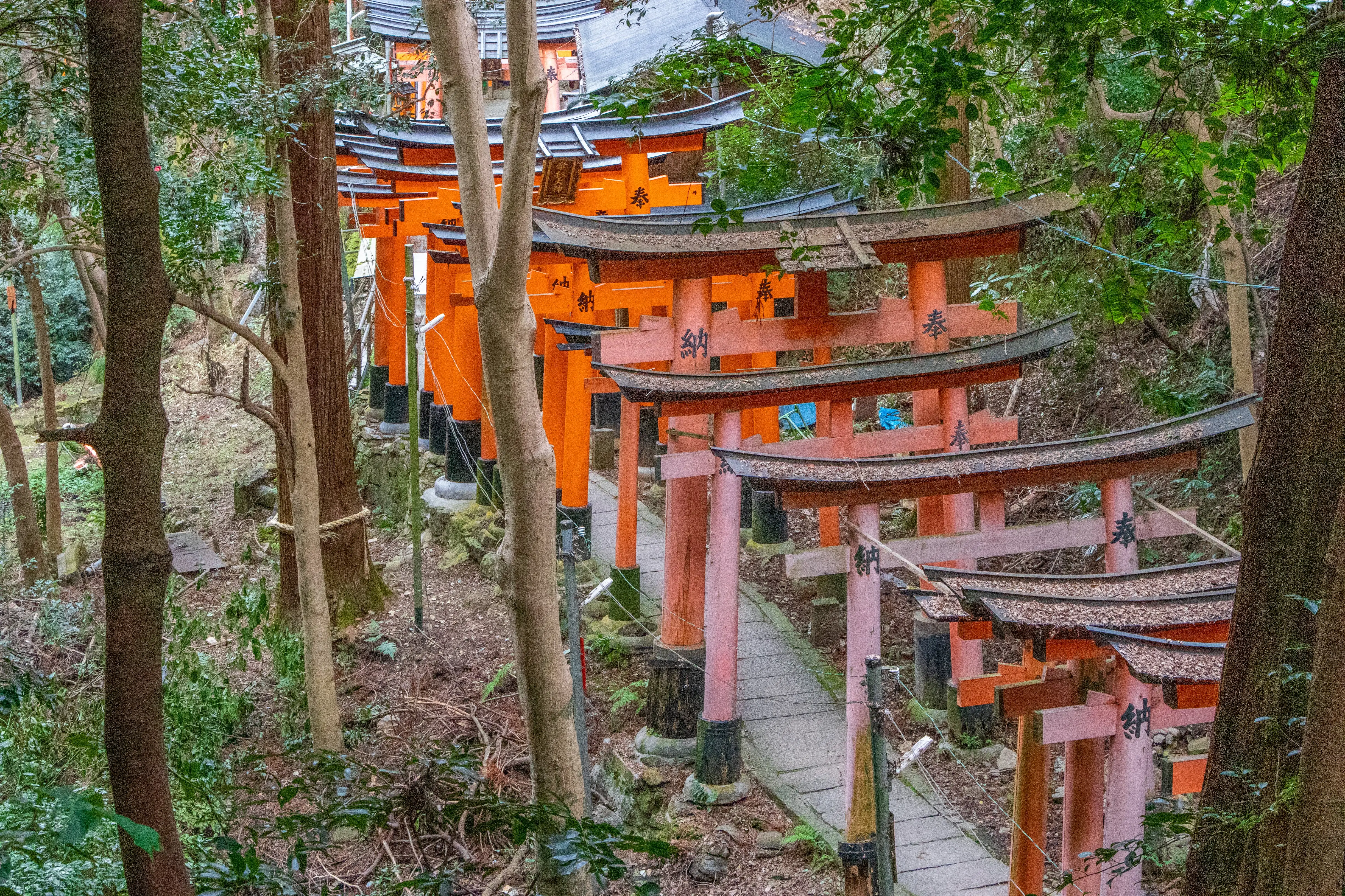 kyoto photo