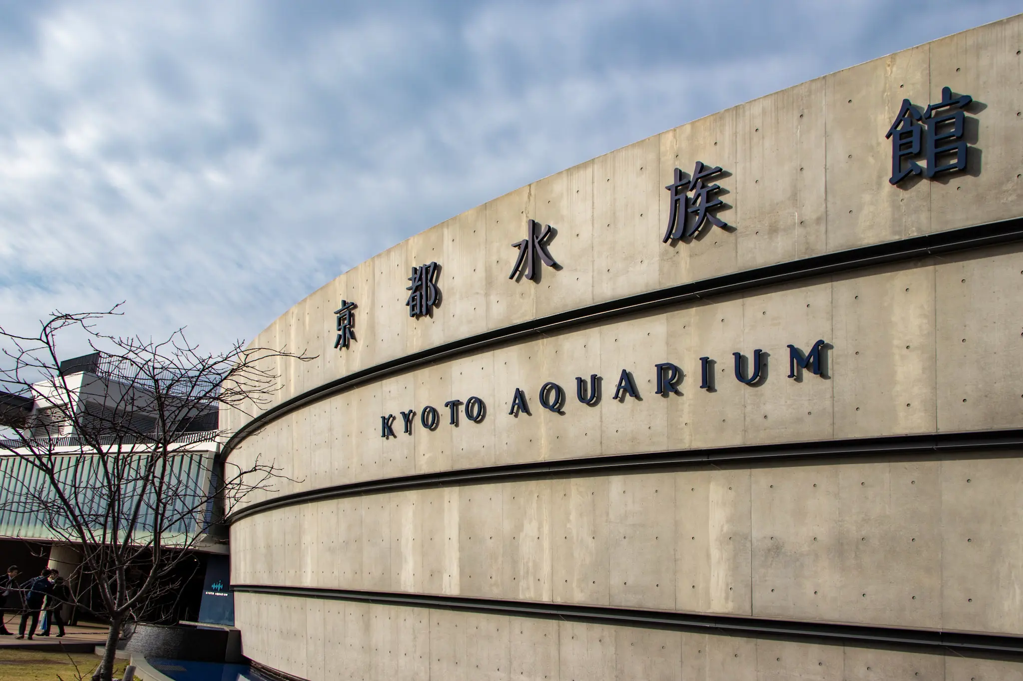 kyoto photo