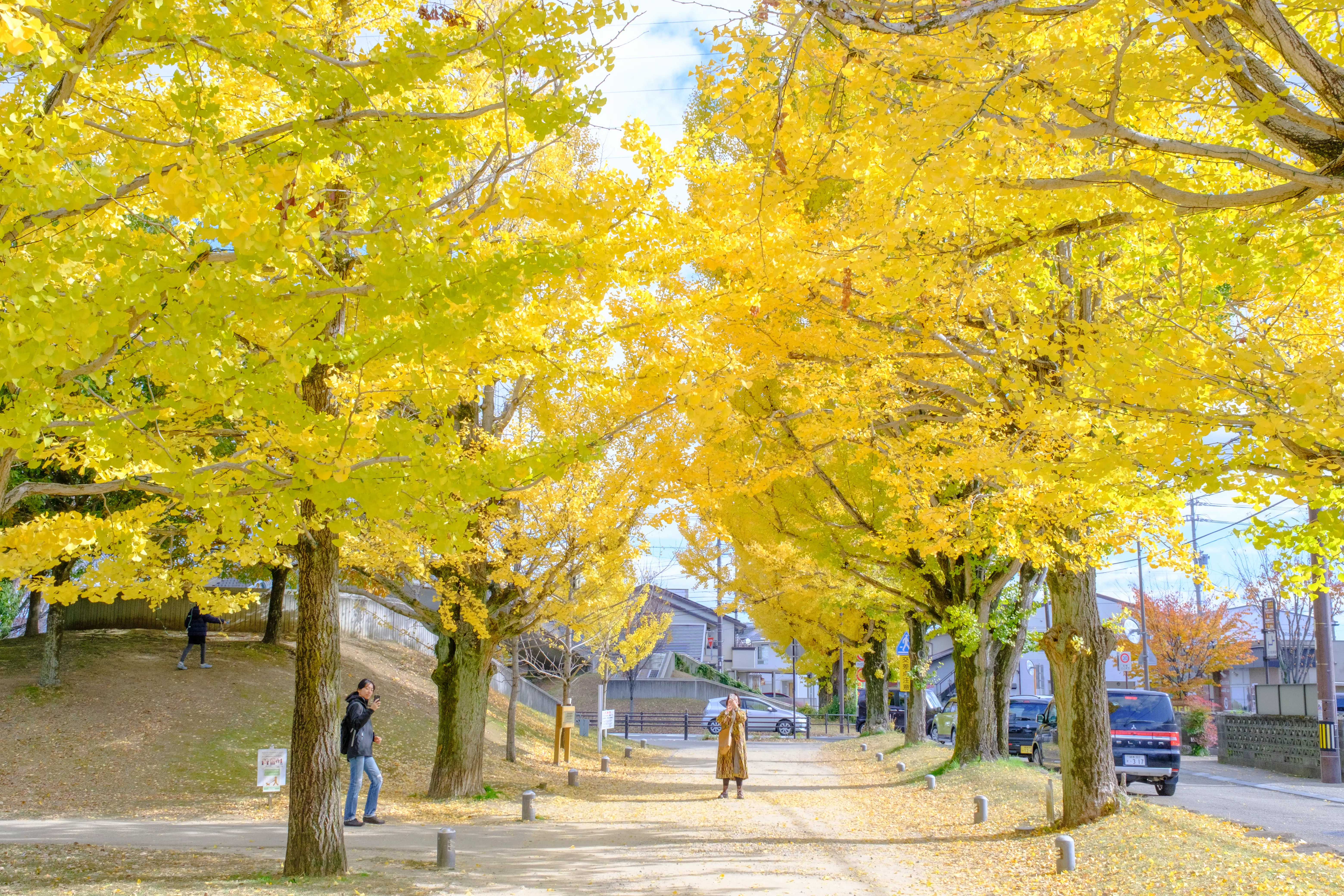 nagoya photo
