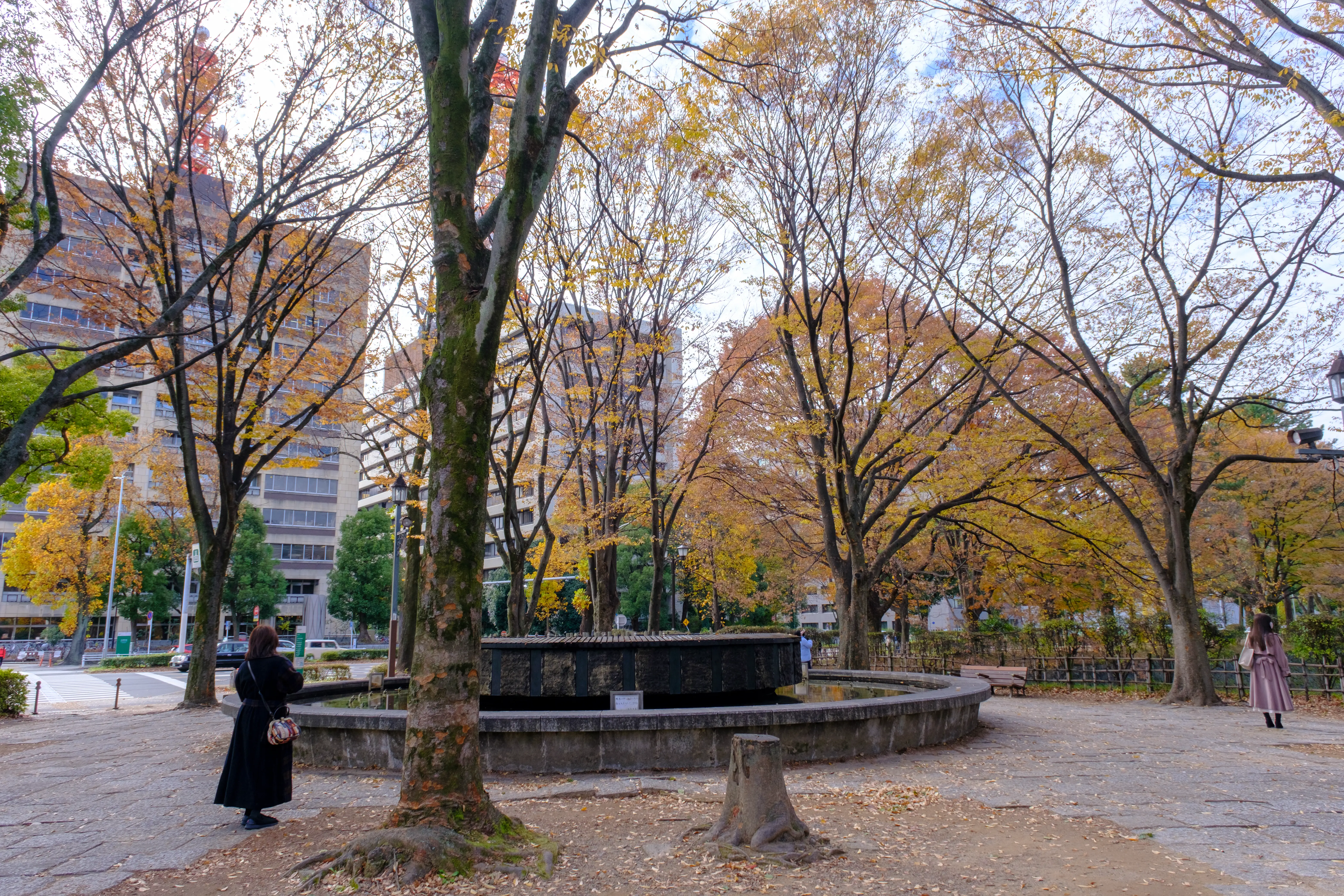 nagoya photo