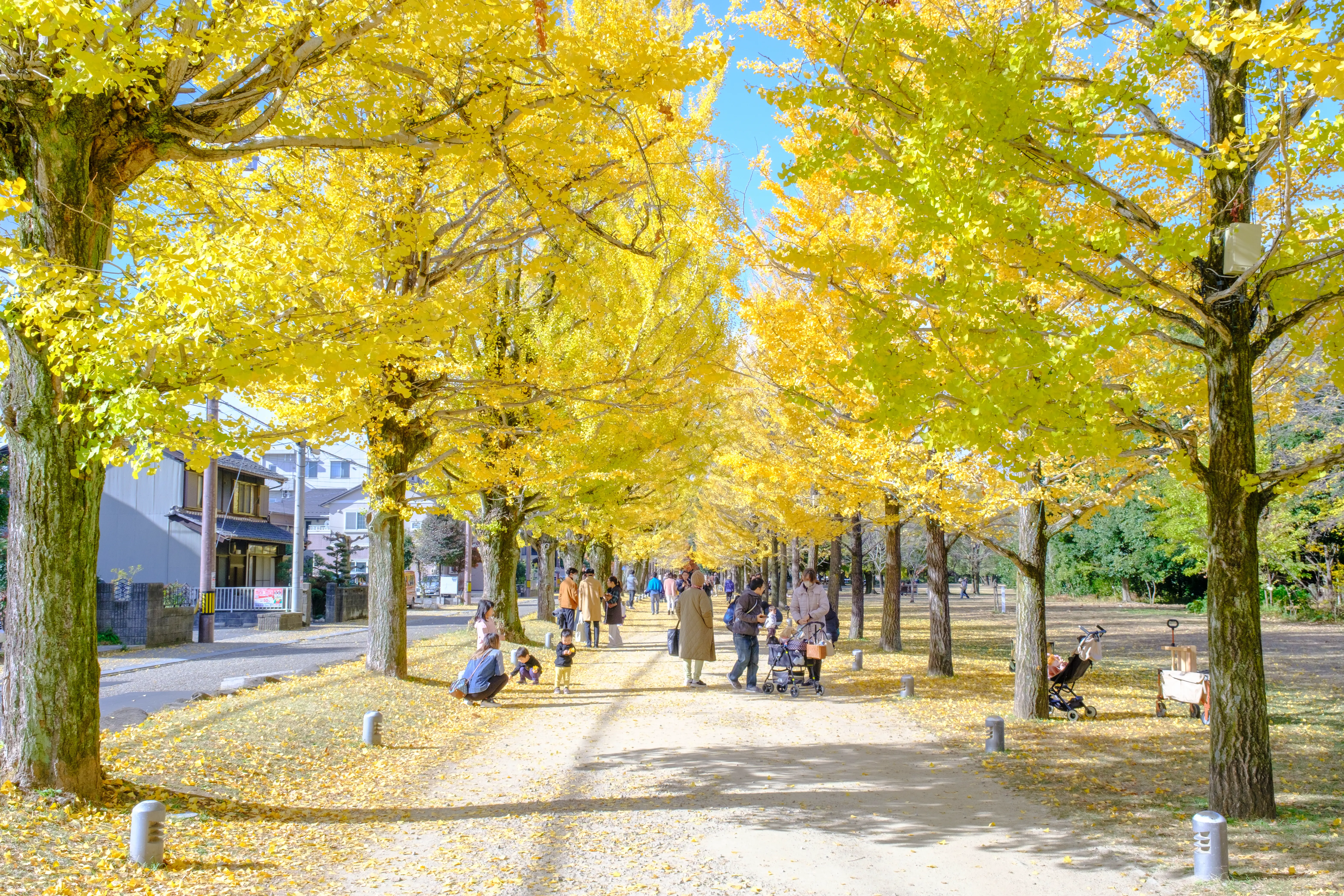 nagoya photo