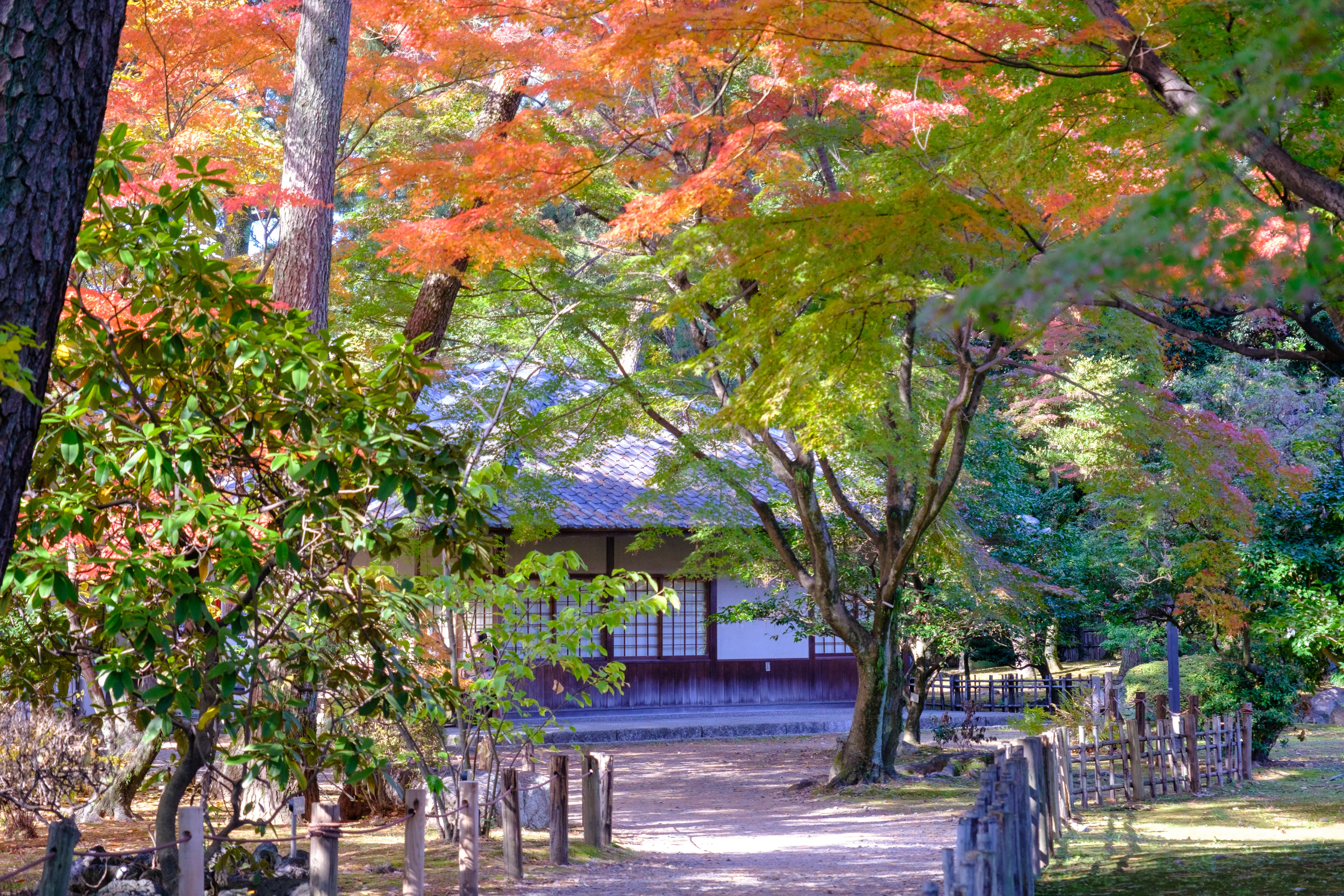 nagoya photo