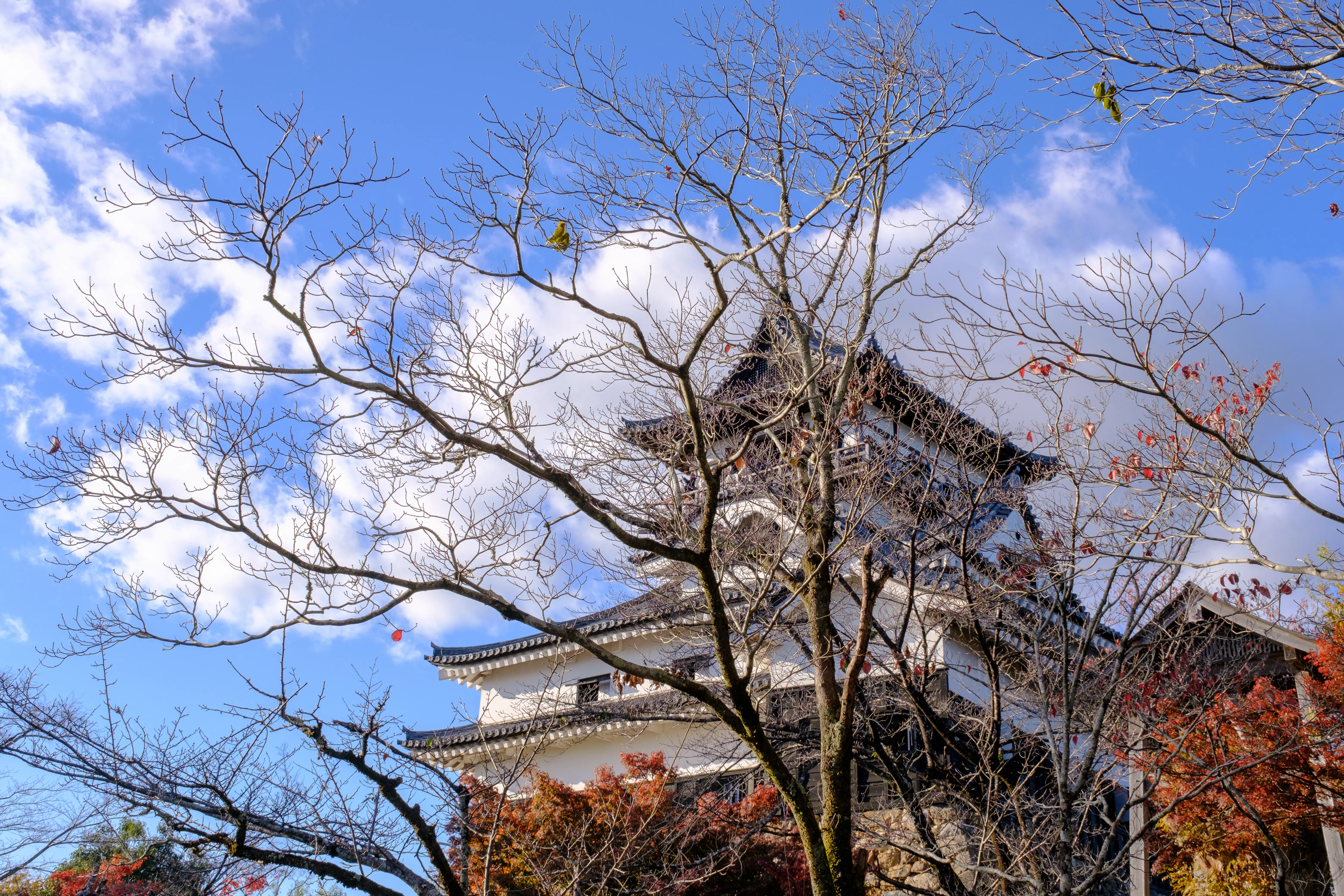 nagoya photo